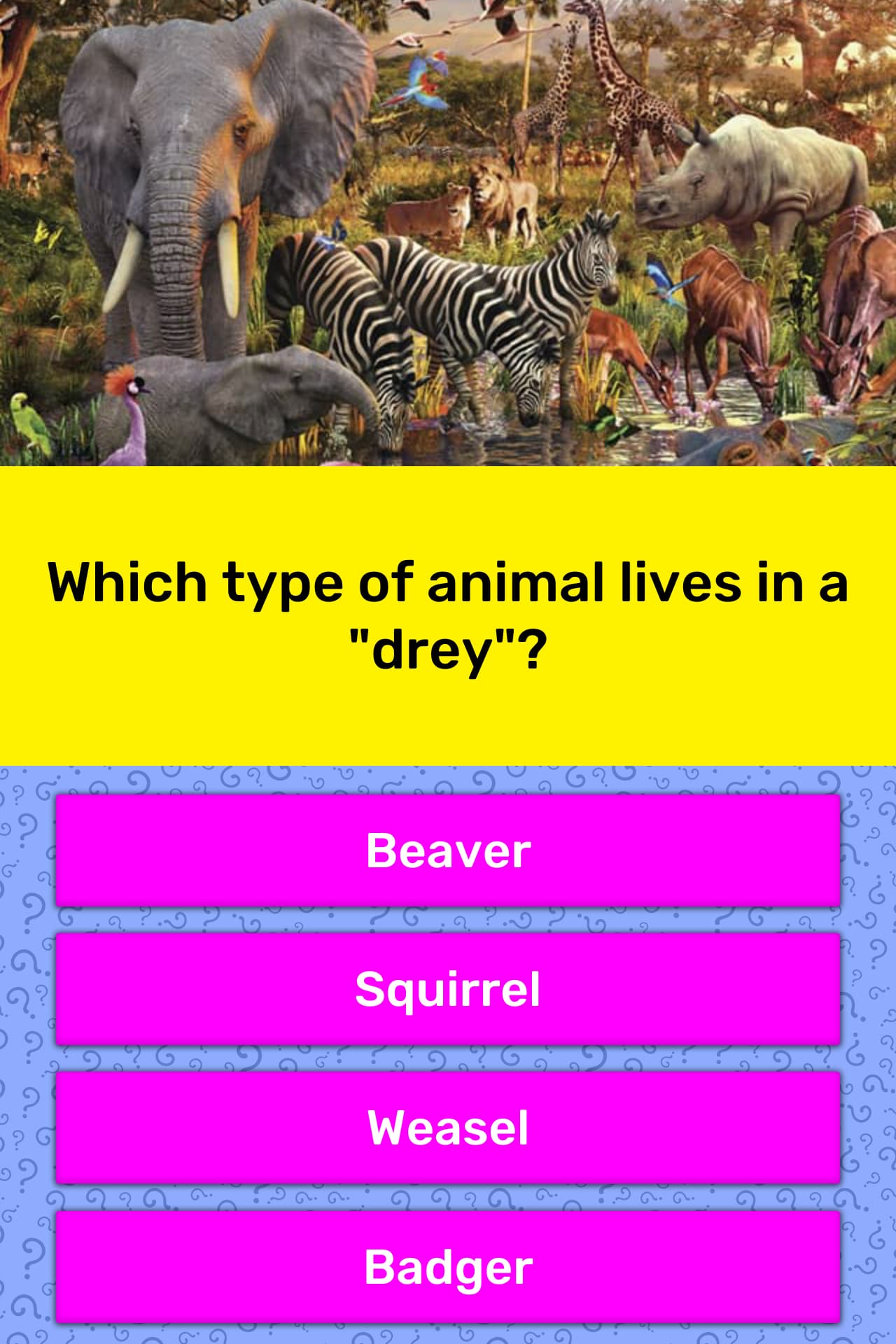 which-type-of-animal-lives-in-a-drey-trivia-questions-quizzclub