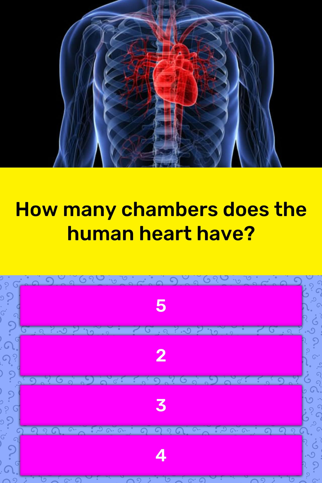 How many chambers does the human... | Trivia Answers | QuizzClub