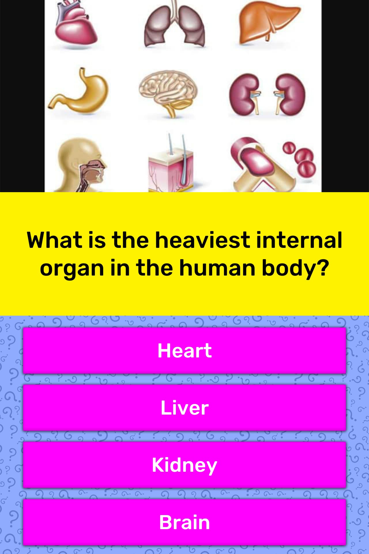 what-is-the-heaviest-internal-organ-trivia-questions-quizzclub