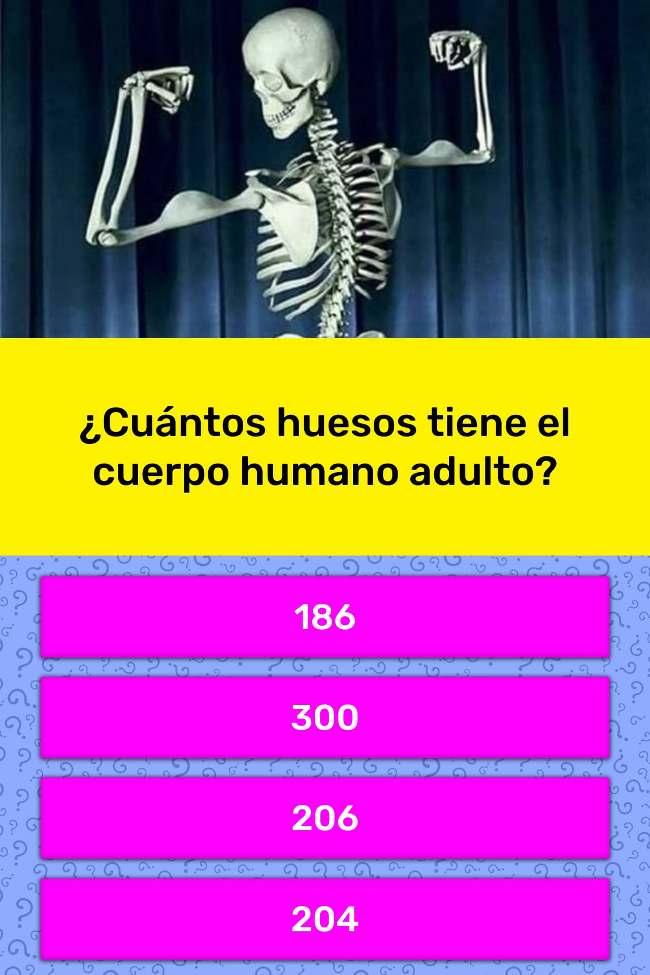 Cuantos Huesos Tiene El Cuerpo Humano