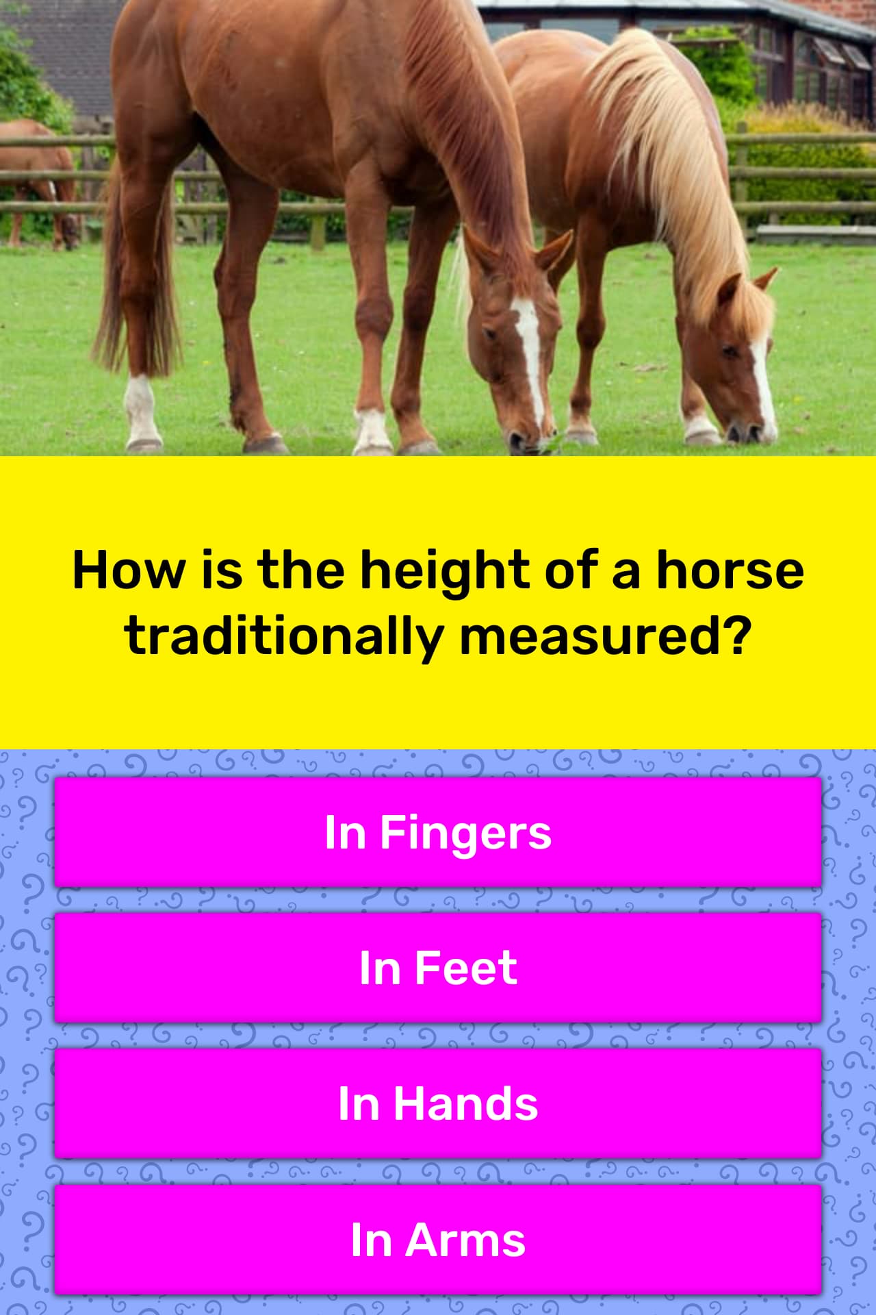 Horse Size Comparison Chart