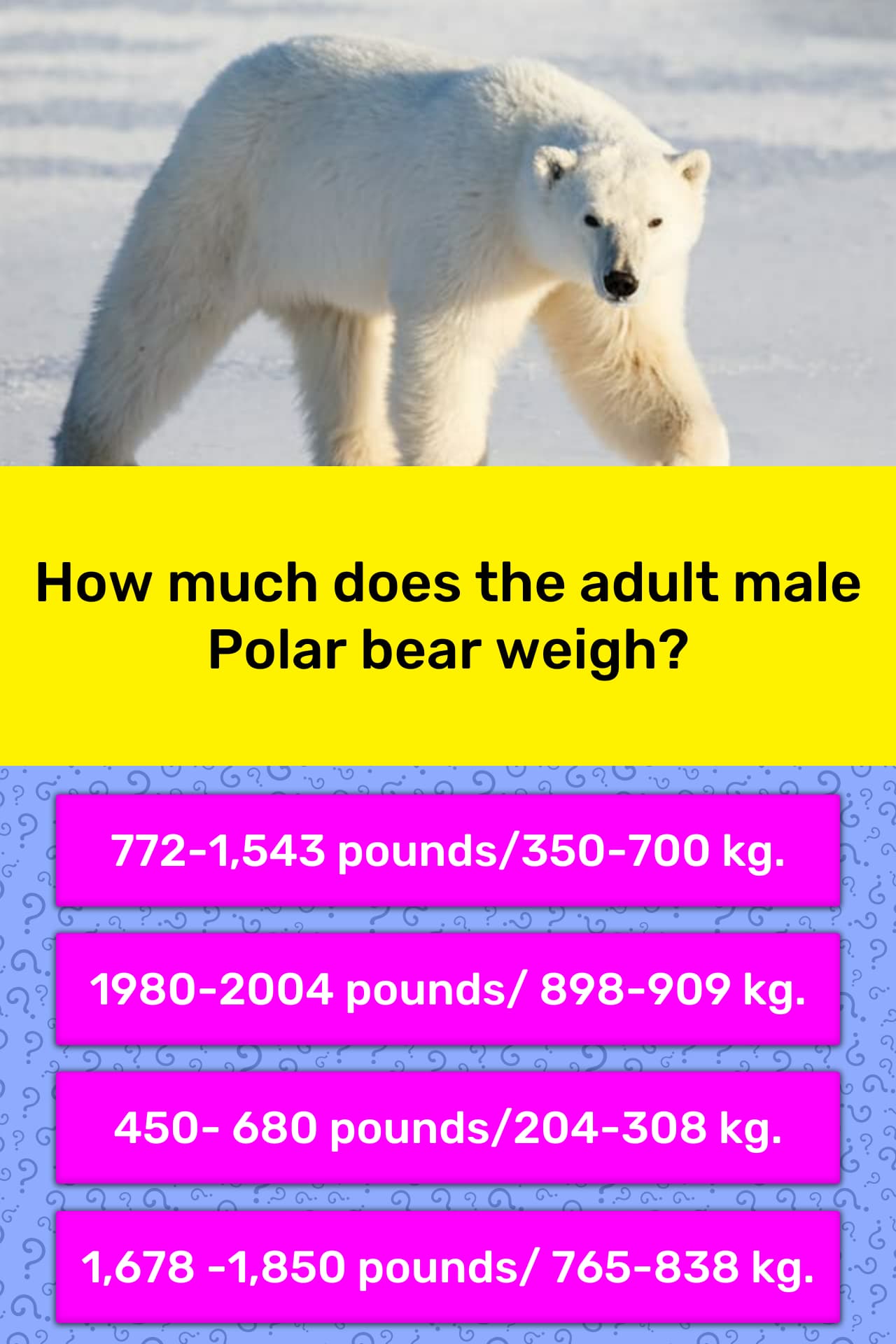 how-much-does-the-adult-male-polar-trivia-questions-quizzclub