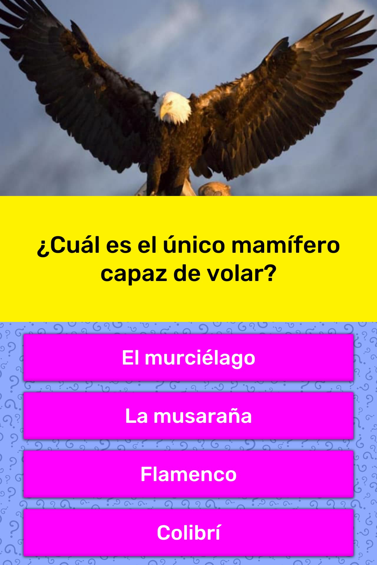 Cual Es El Unico Mamifero Capaz De Volar