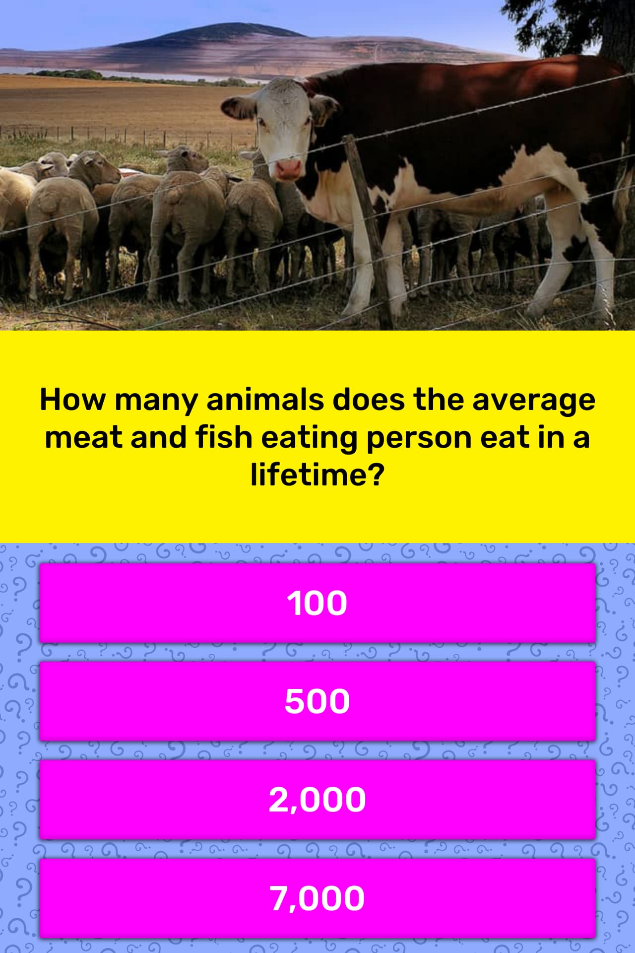 how-many-animals-does-the-average-trivia-questions-quizzclub