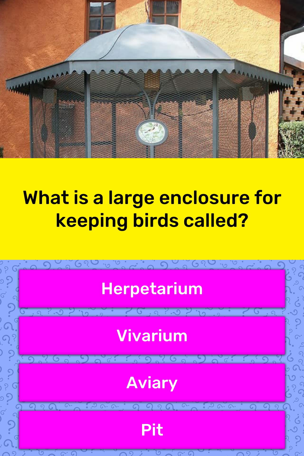 large enclosure for birds