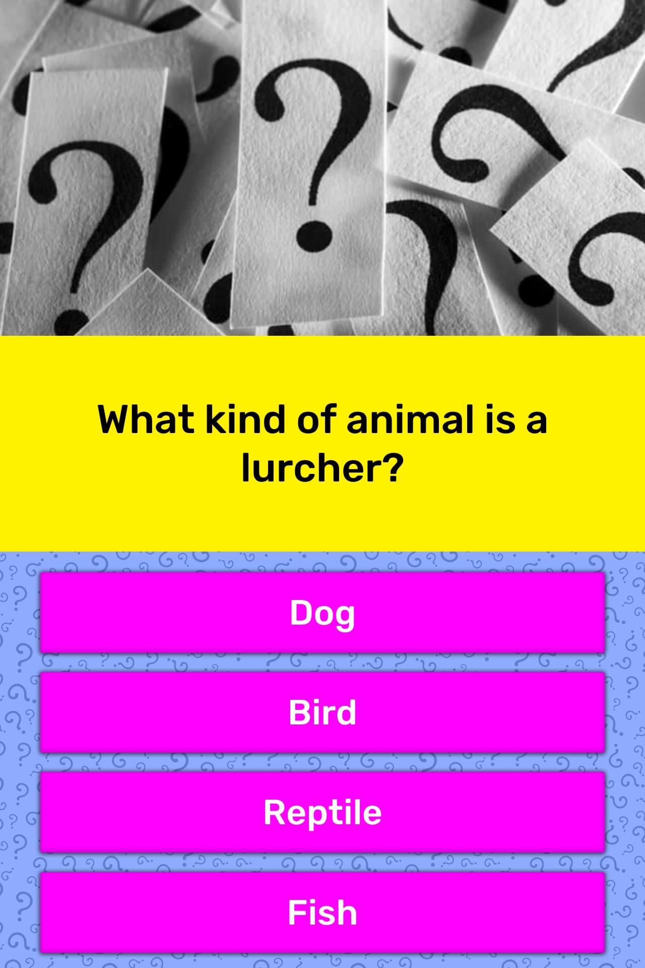 what kind of animal is a lurcher