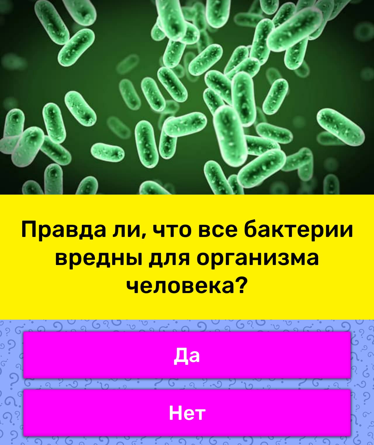 Выбери картинки которые относятся к использованию бактерий человеком