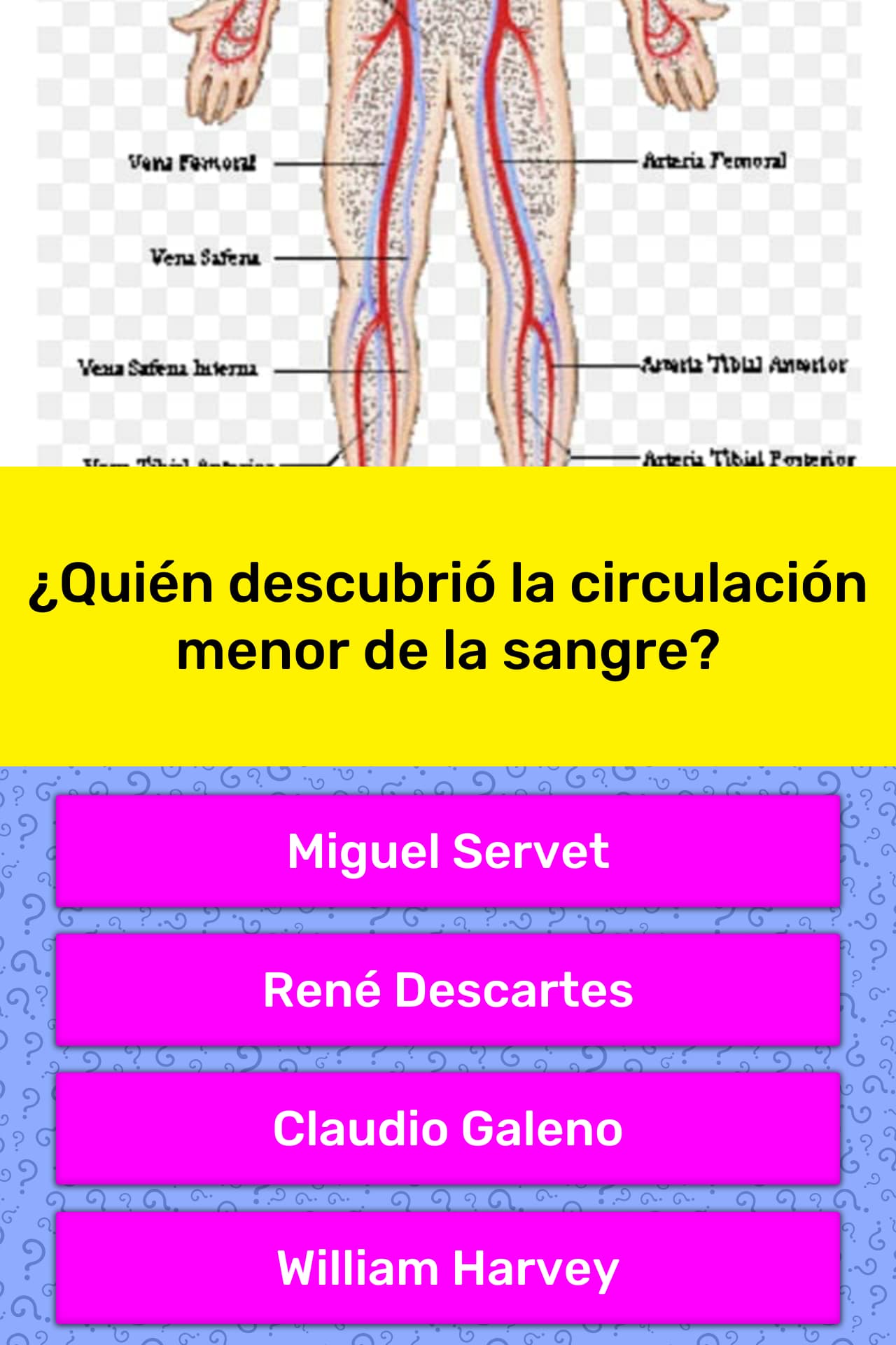 quien descubrio solfa syllable circulacion sanguinea pulmonar