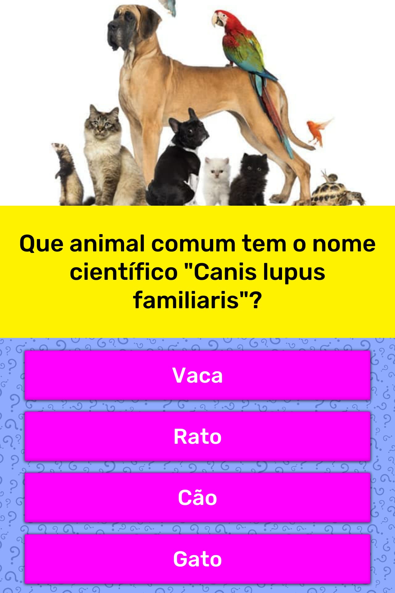 Nomes Científicos De Animais - RETOEDU