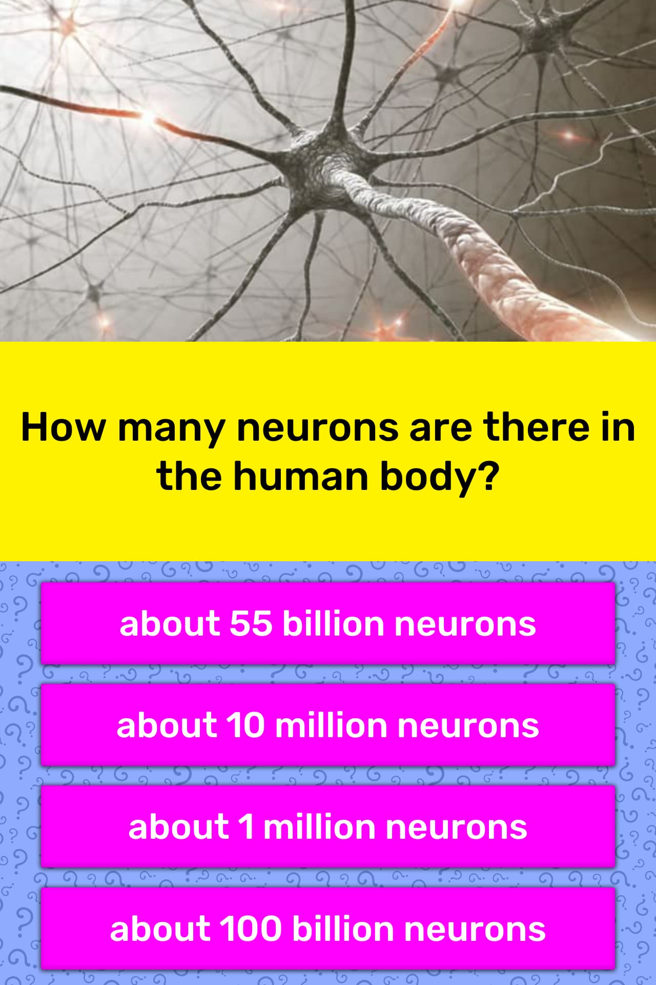 how many neurons are in the human brain