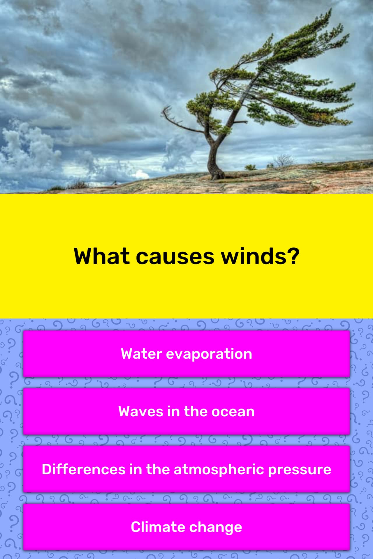 what-causes-winds-trivia-answers-quizzclub