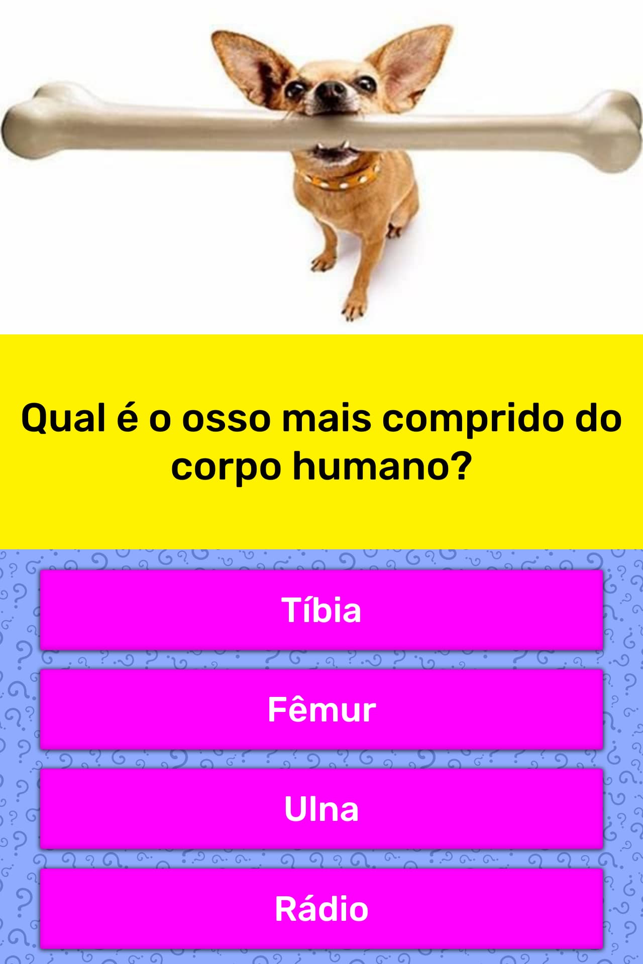 Ms dedo do pé se contorcendo