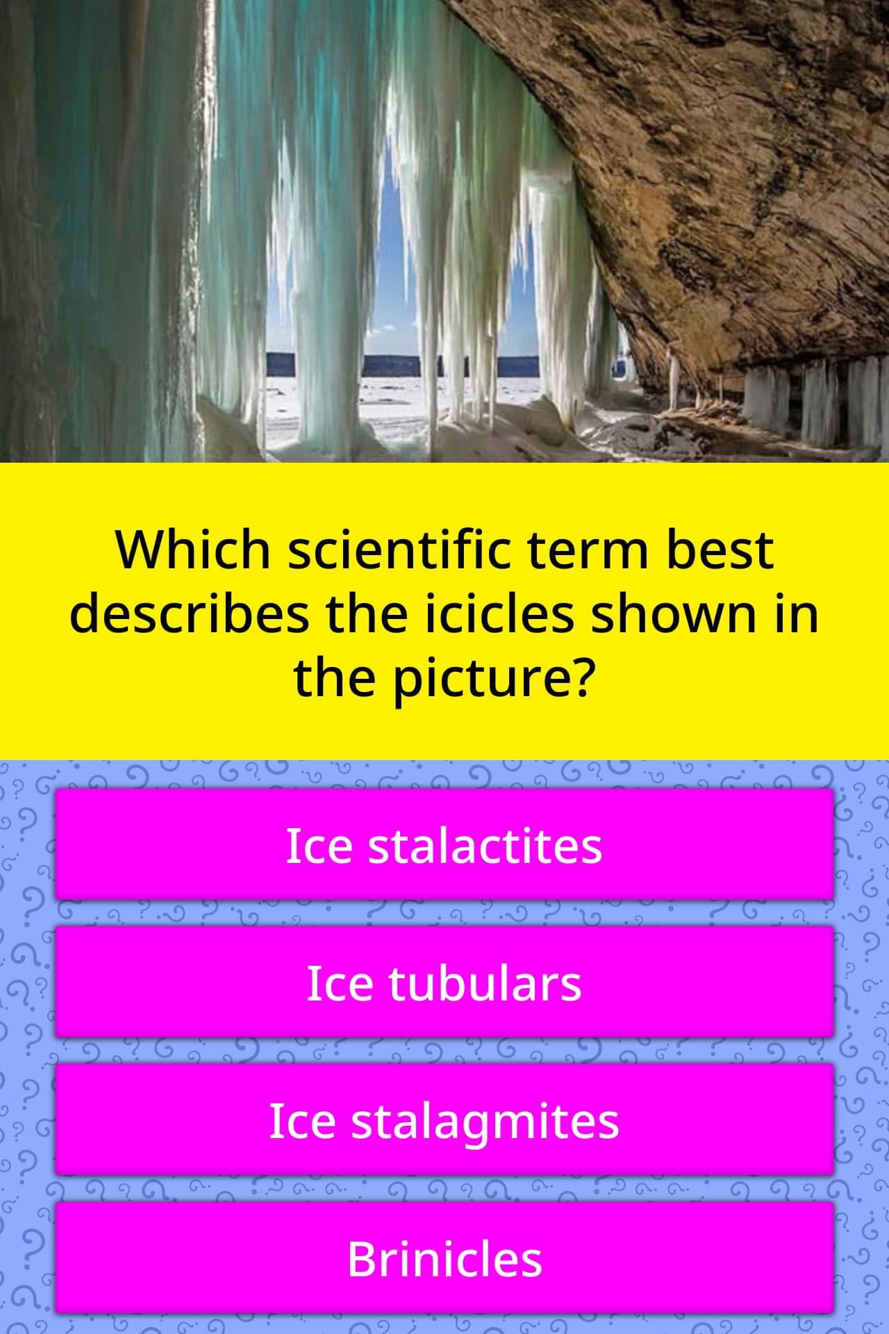 Which scientific term best describes... | Trivia Questions | QuizzClub