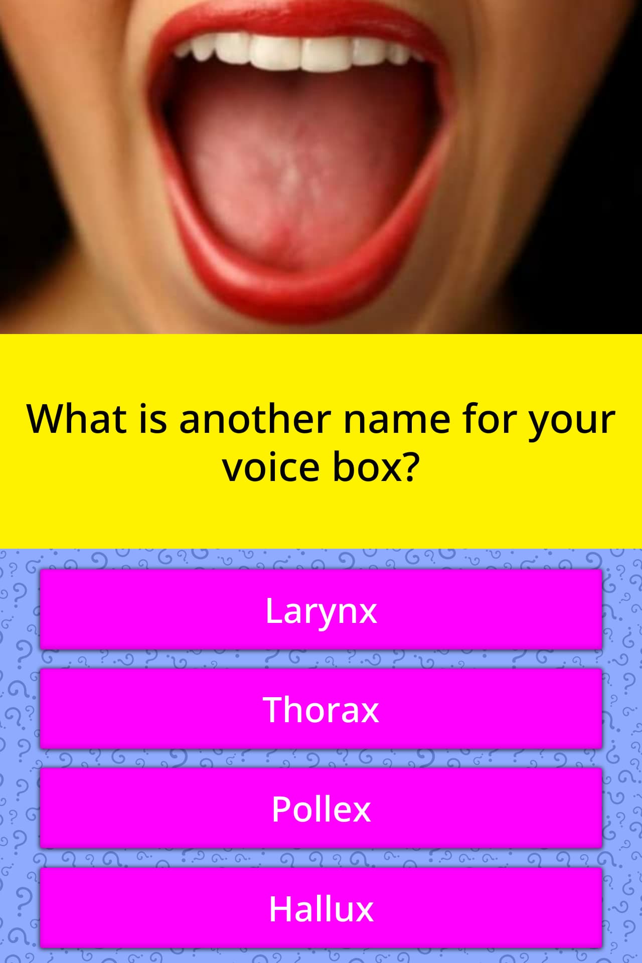 What is another name for your voice box? | Trivia Answers ...