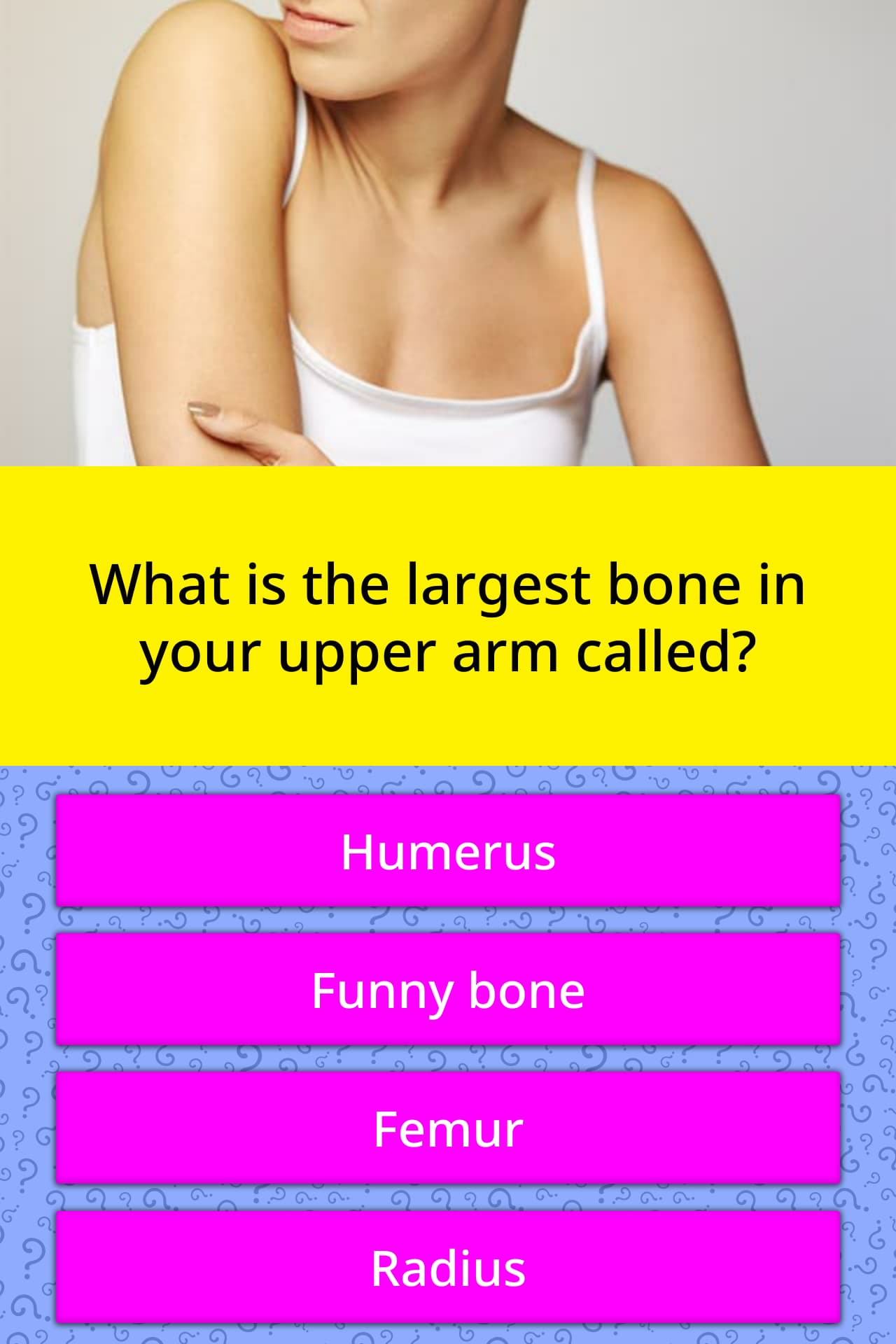 What is the largest bone in your... | Trivia Questions | QuizzClub