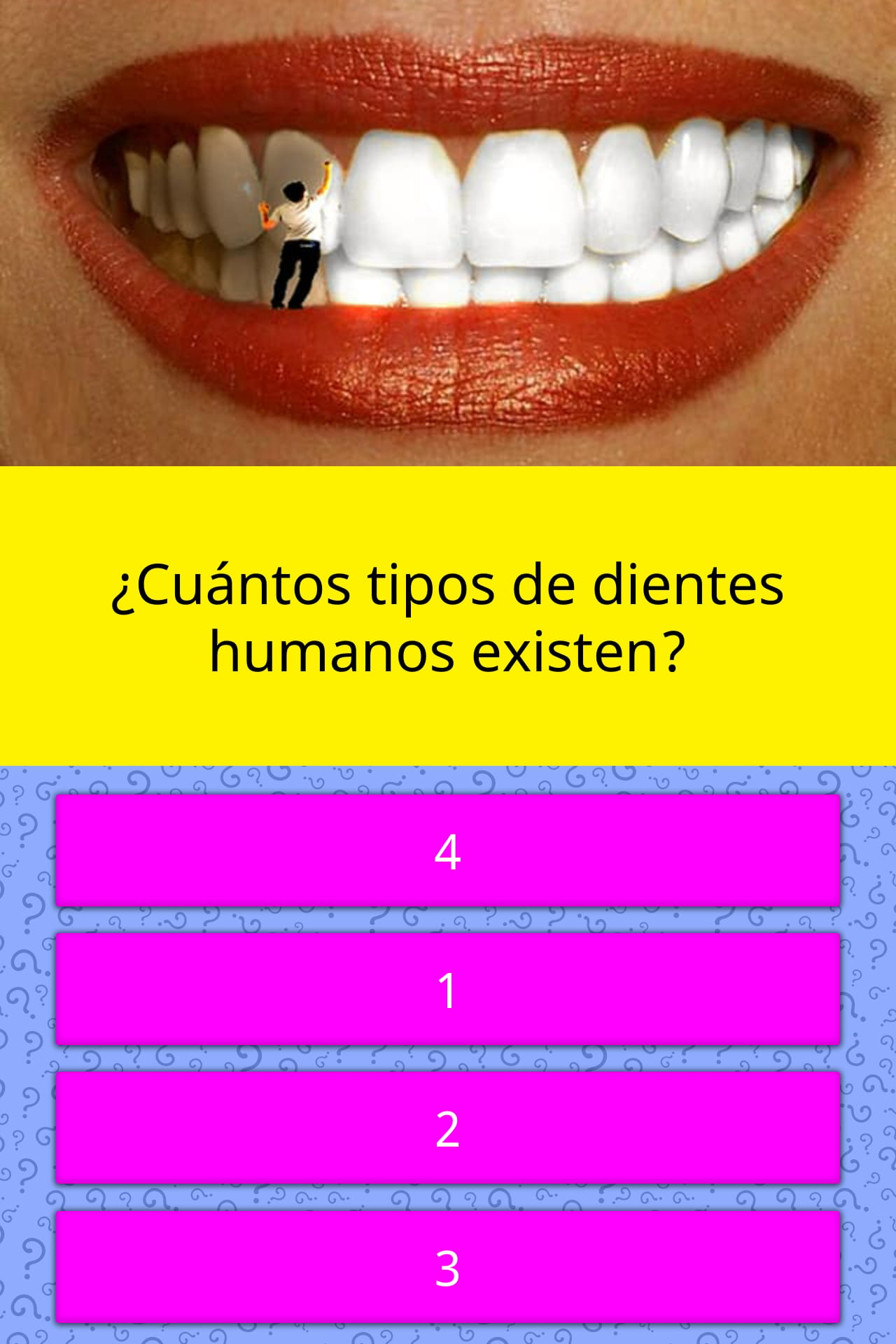 How Many Types Of Human Teeth Are There Trivia Questions