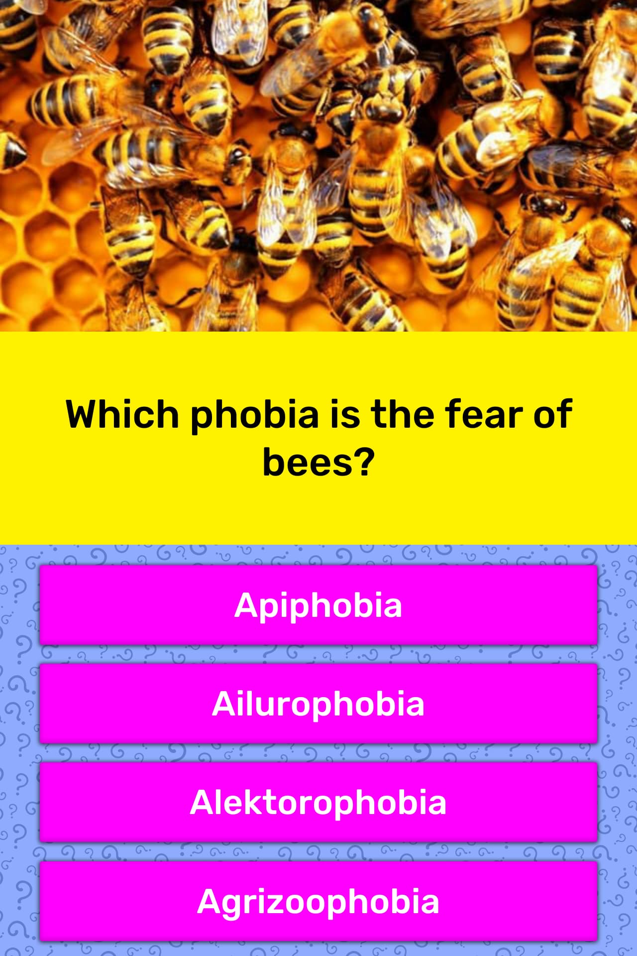Which phobia is the fear of bees? Trivia Answers