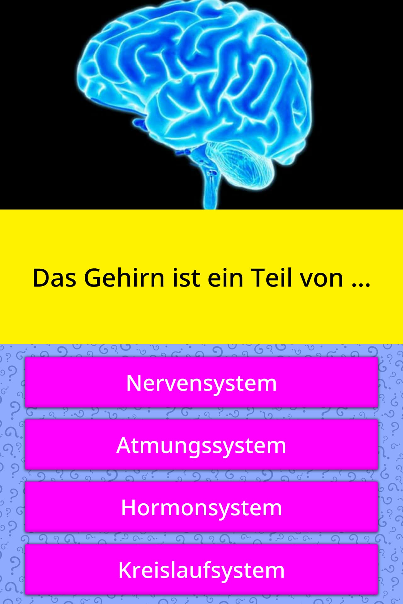Gehirn Quiz