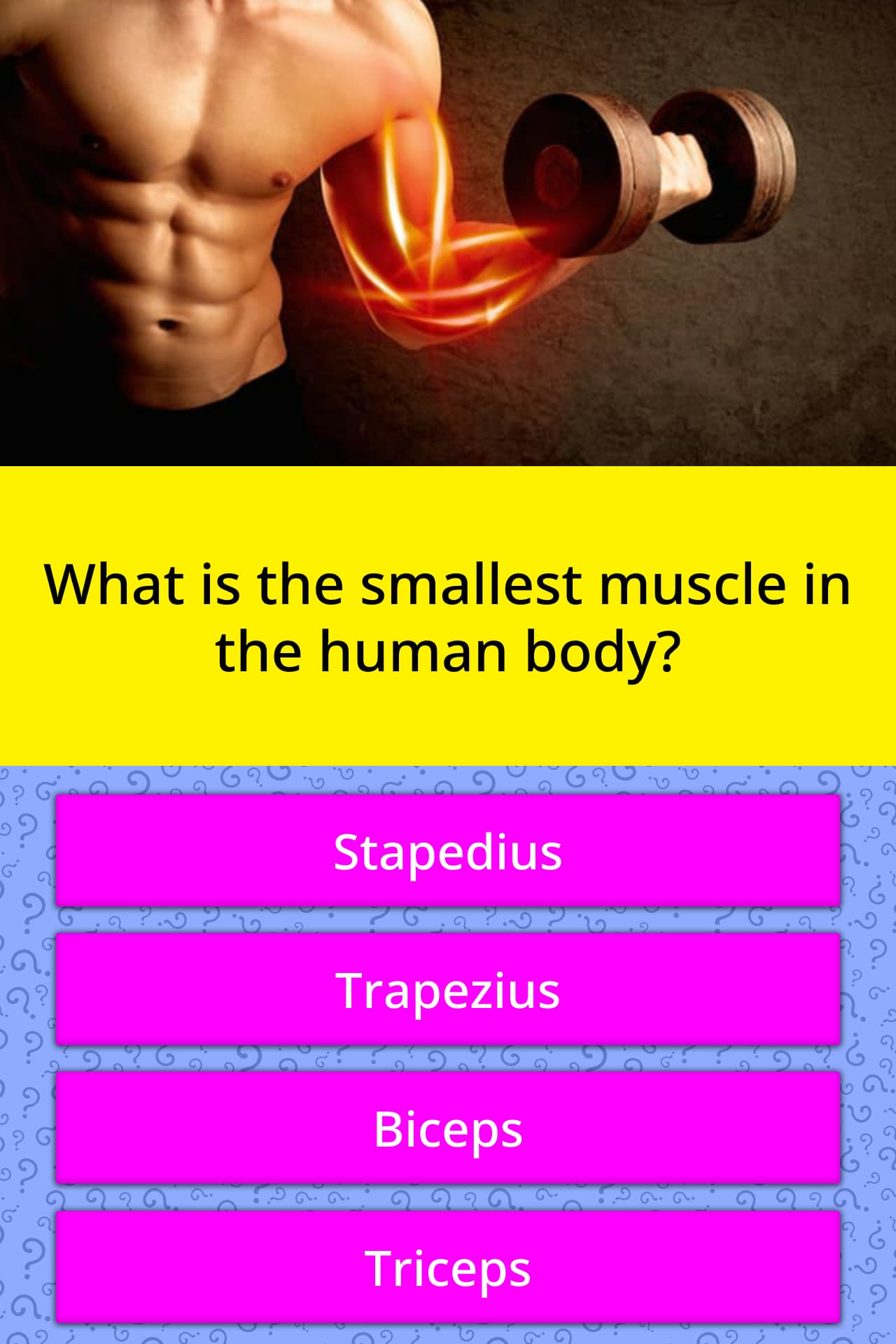 what-is-the-smallest-muscle-in-the-trivia-questions-quizzclub