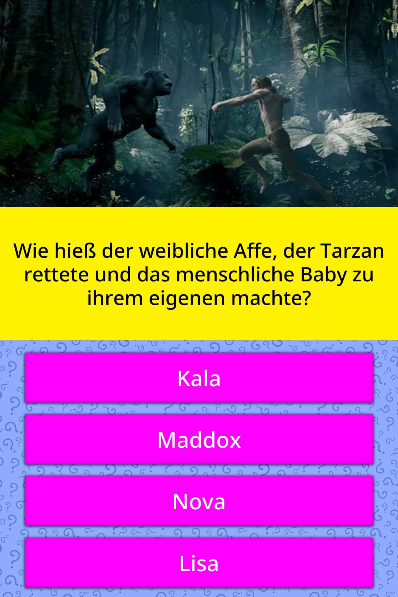 Wie Hiess Der Weibliche Affe Der Quiz Antworten Quizzclub