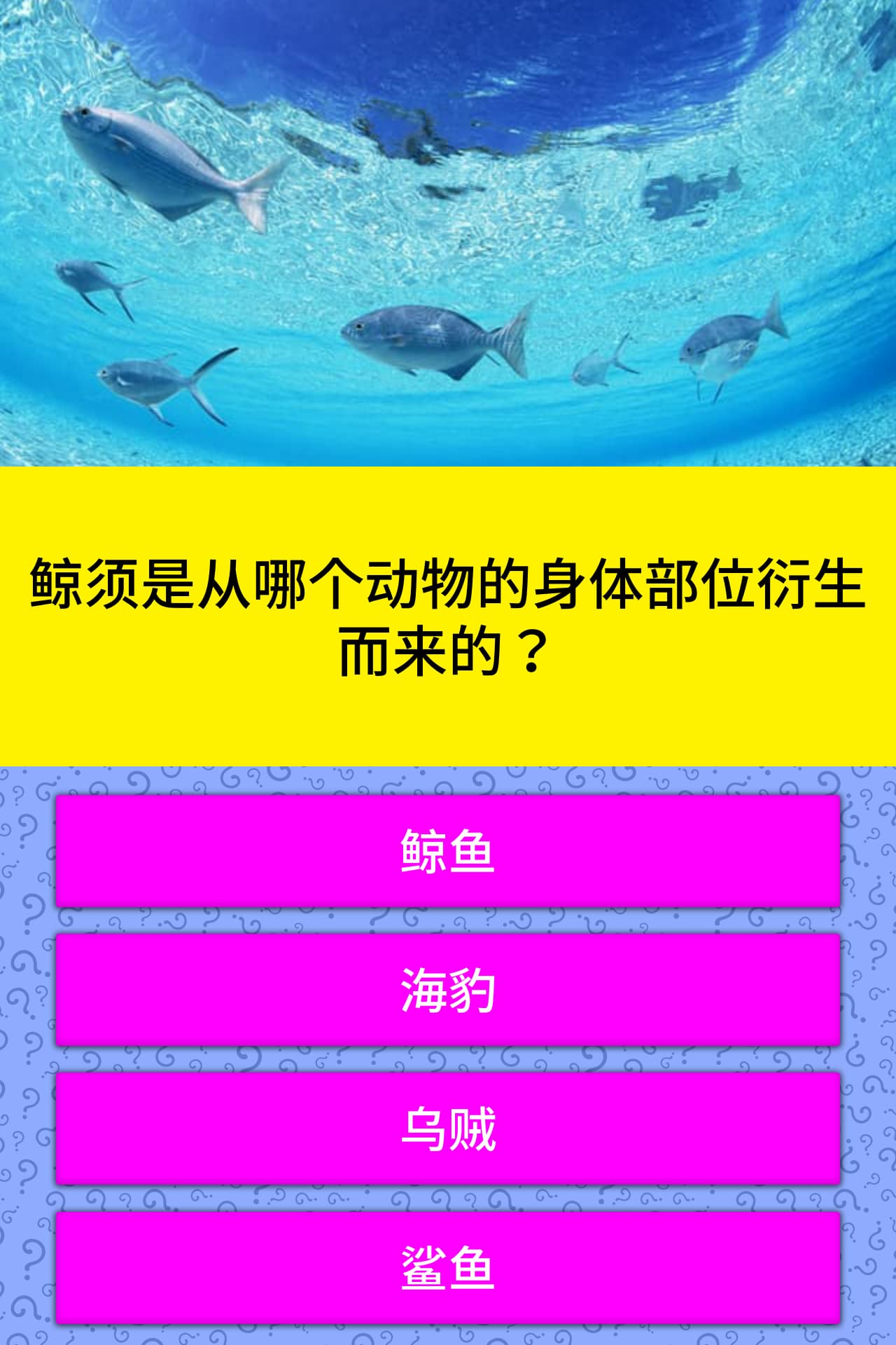 鲸须是从哪个动物的身体部位衍生而来的 小问题 Quizzclub