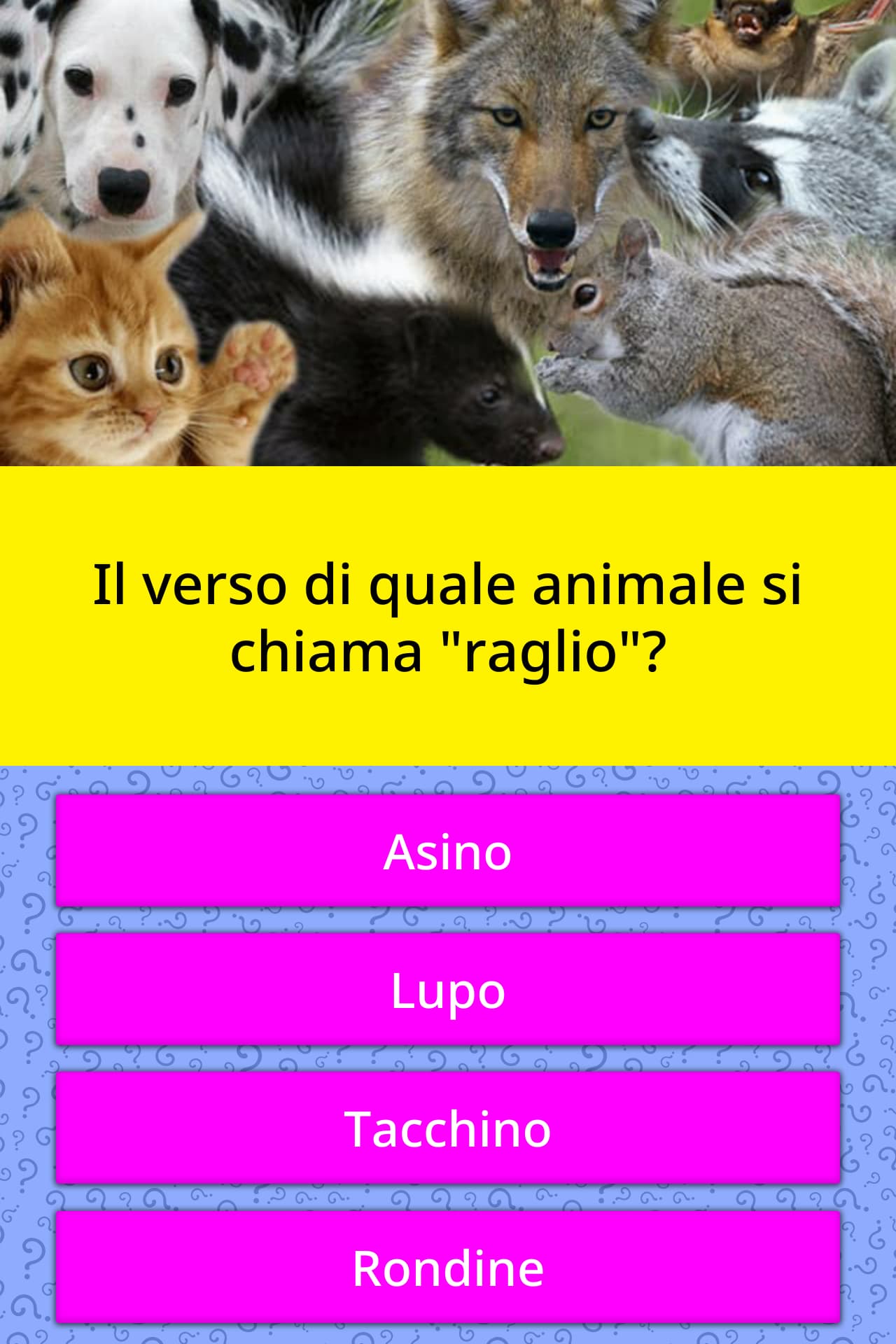 Come Si Chiama L Asino Selvatico adeotts Come Si Chiama L Asino Selvatico adeotts