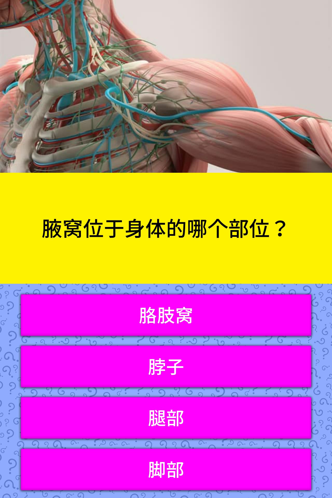 腋窝位于身体的哪个部位 问题答案 Quizzclub