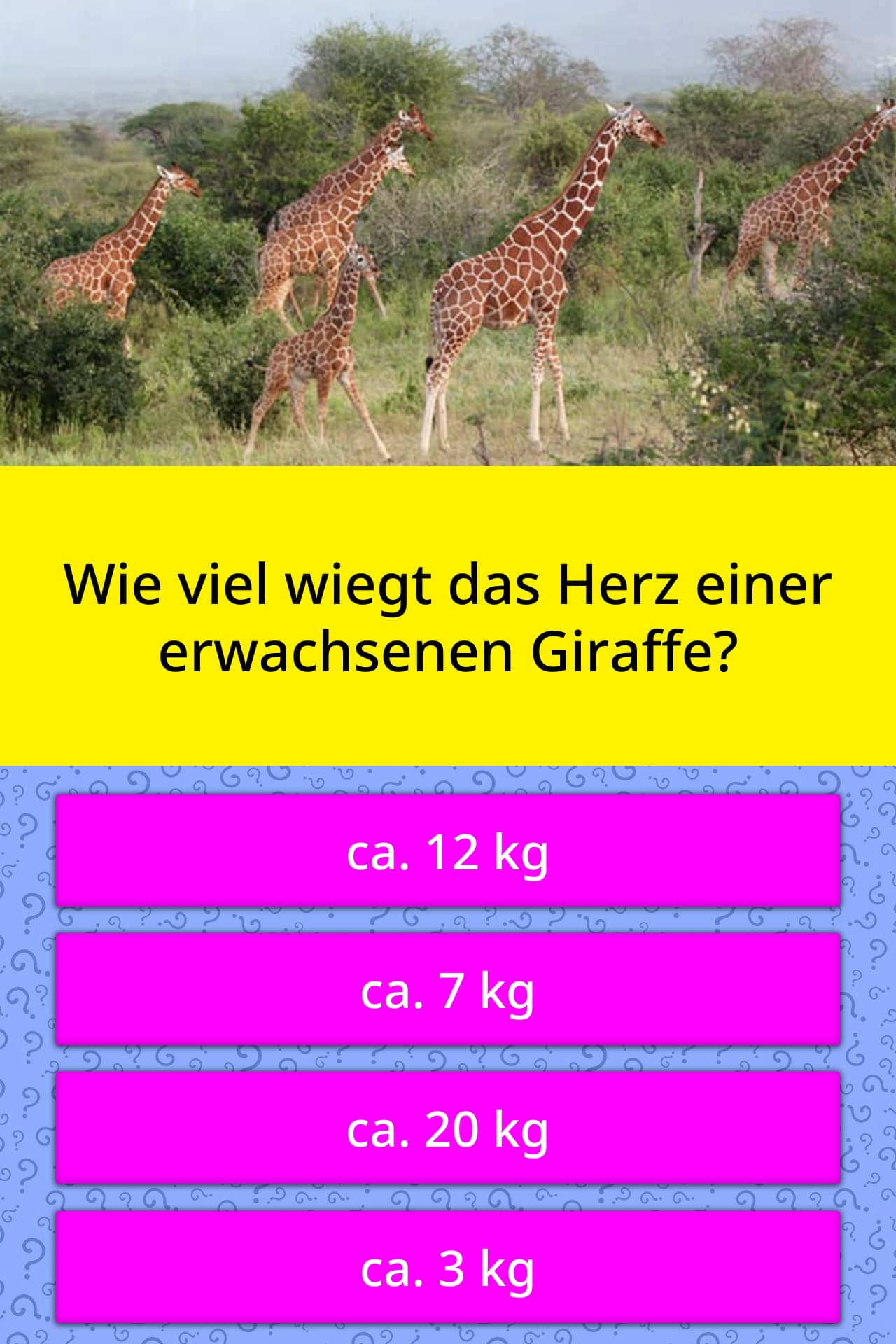 Wie Viel Wiegt Ein Herz Wie viel wiegt das Herz einer... | Quiz-Antworten | QuizzClub