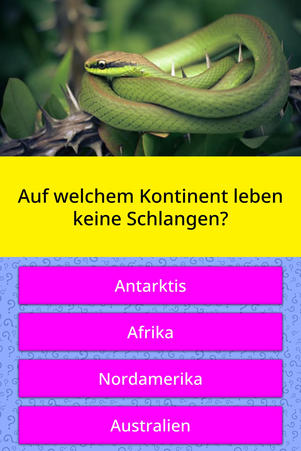 Dating-sites keine e-mail