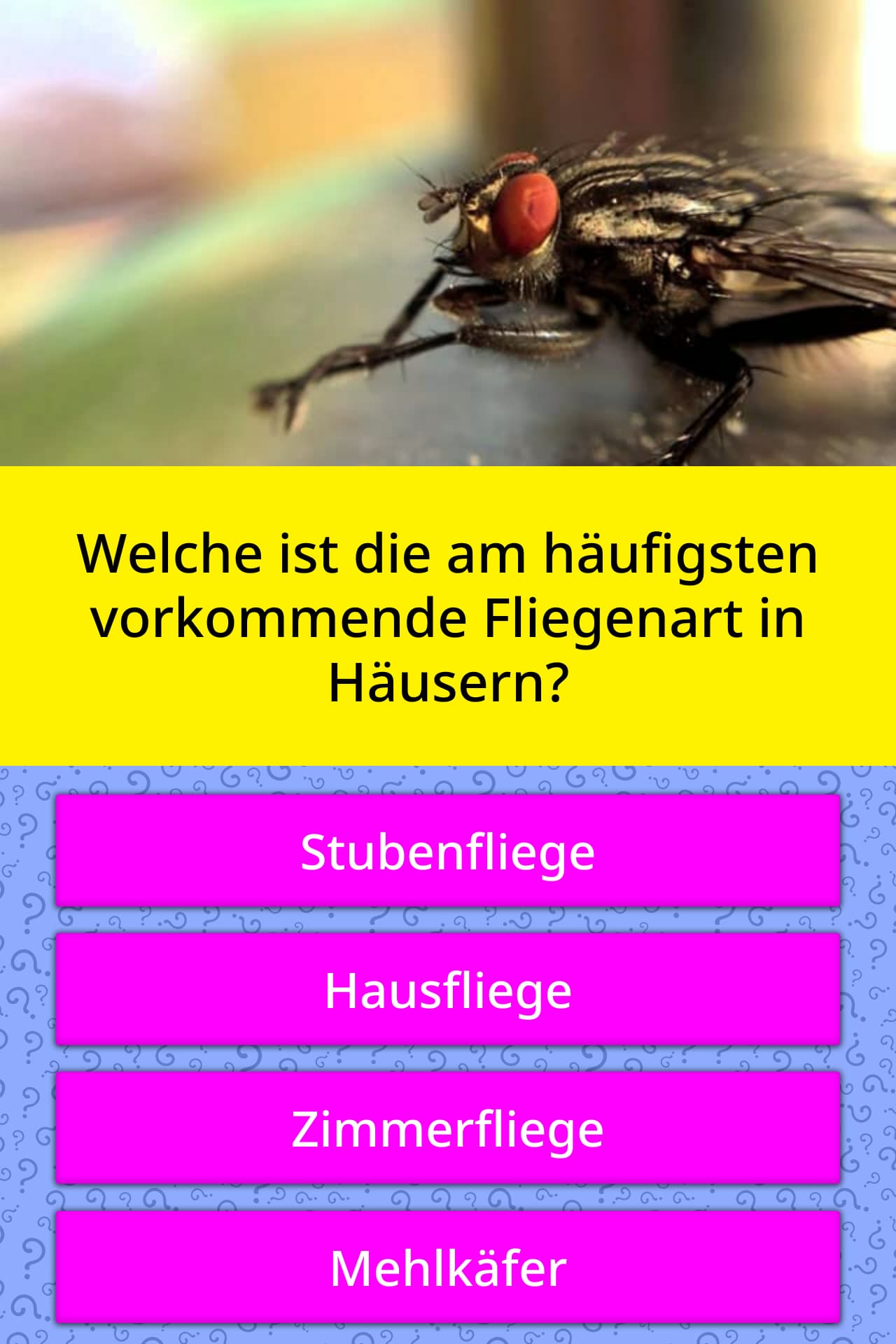 Welche Lottozahlen Sind Am Häufigsten Welche Lottozahlen Sind Am Häufigsten