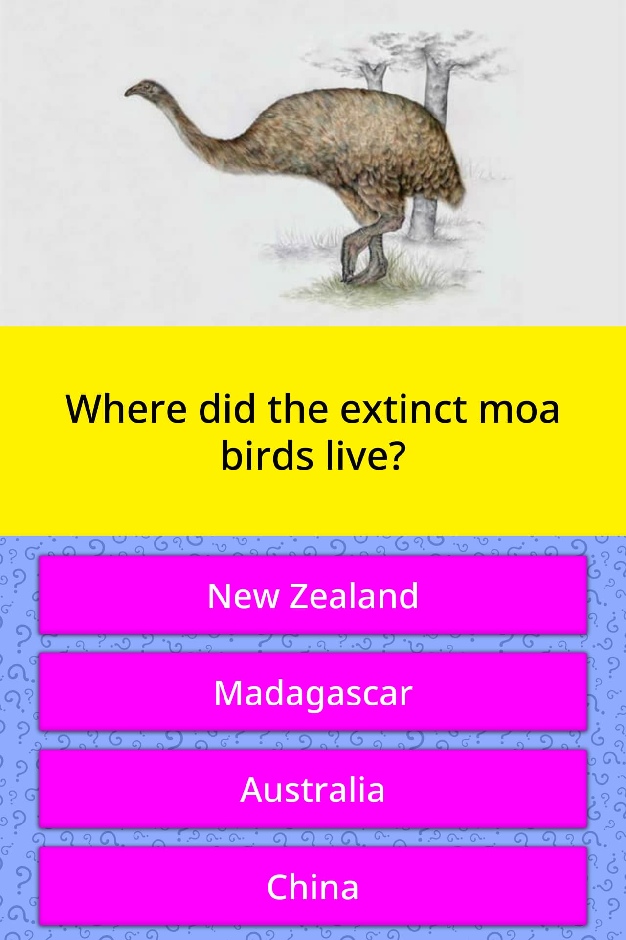 Where Did The Extinct Moa Birds Live Trivia Answers Quizzclub