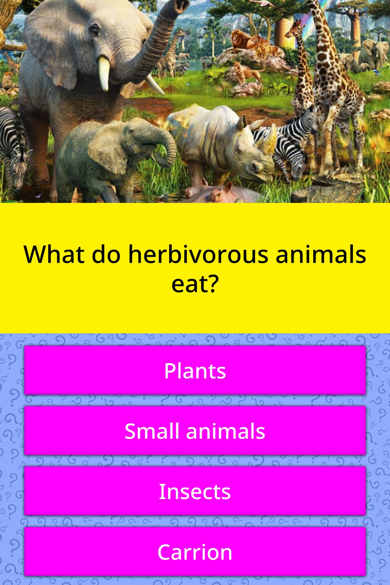 What do herbivorous animals eat? Trivia Answers