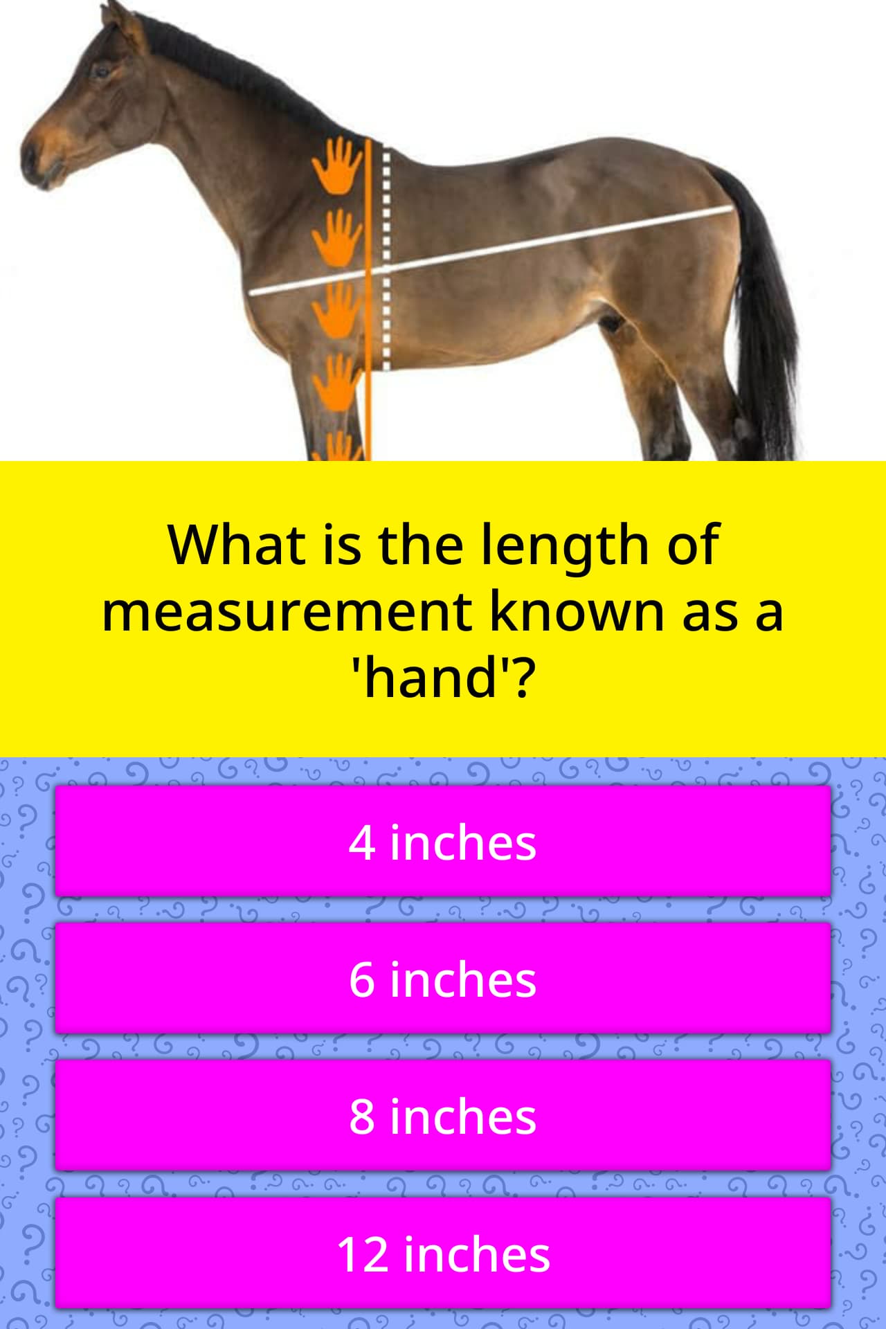 What Is The Length Of Measurement Trivia Questions Quizzclub