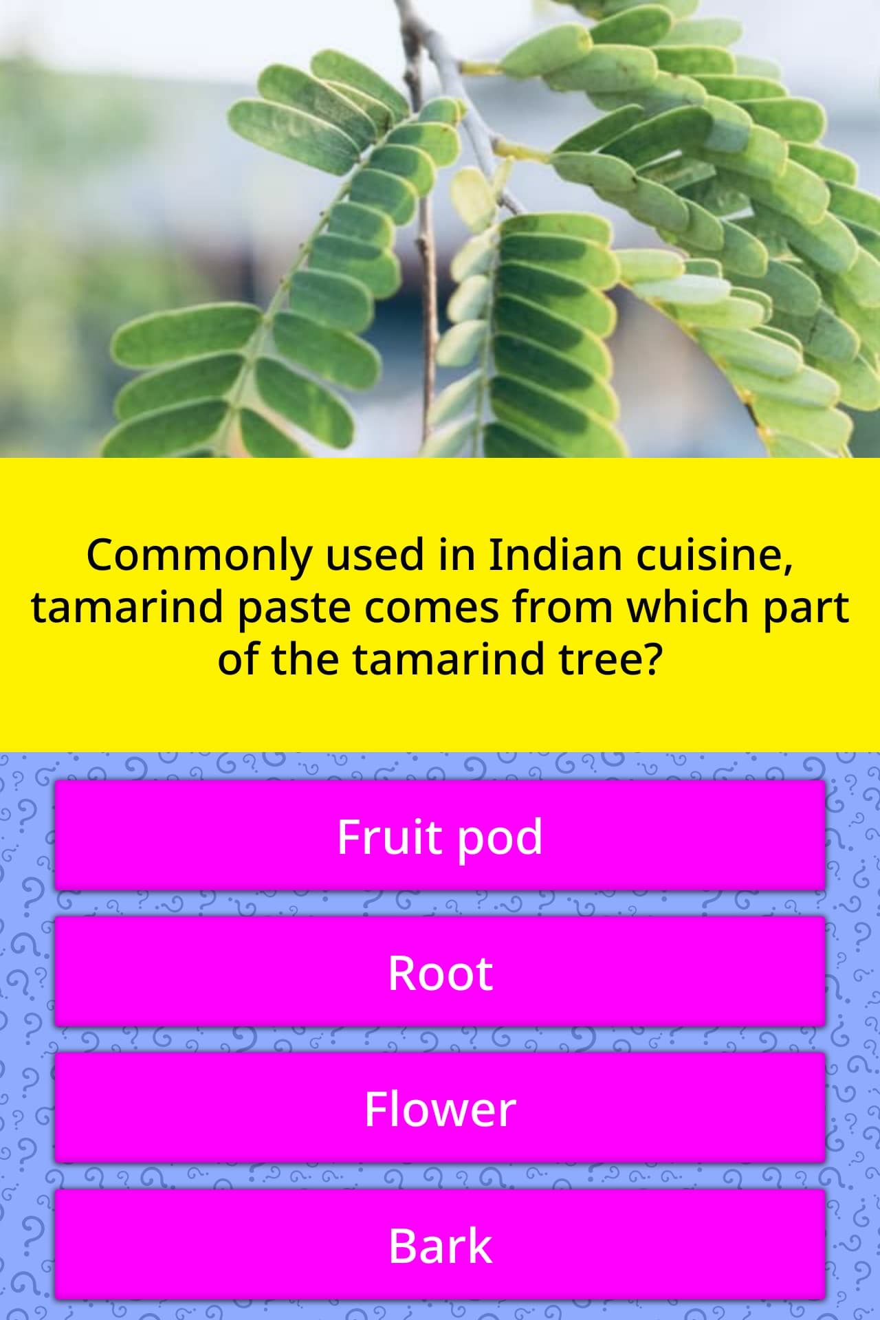 Commonly Used In Indian Cuisine Trivia Answers Quizzclub