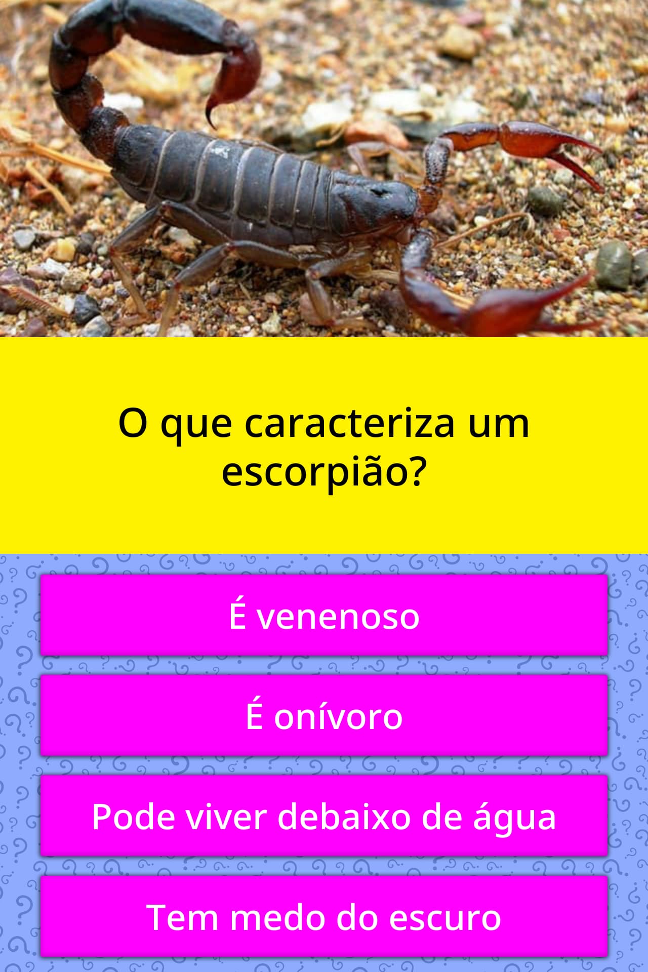 O que caracteriza um escorpião? Respostas Triviais O que caracteriza um escorpião? Respostas Triviais