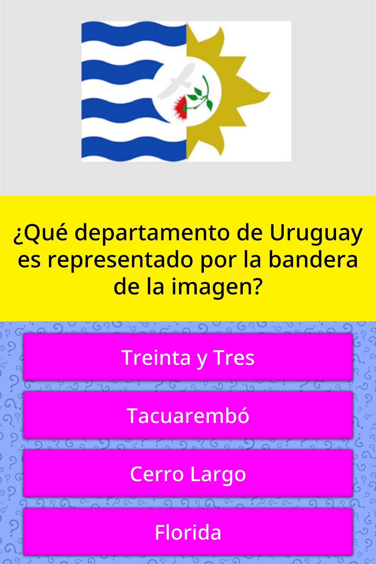 Banderas De Los Departamentos De Uruguay