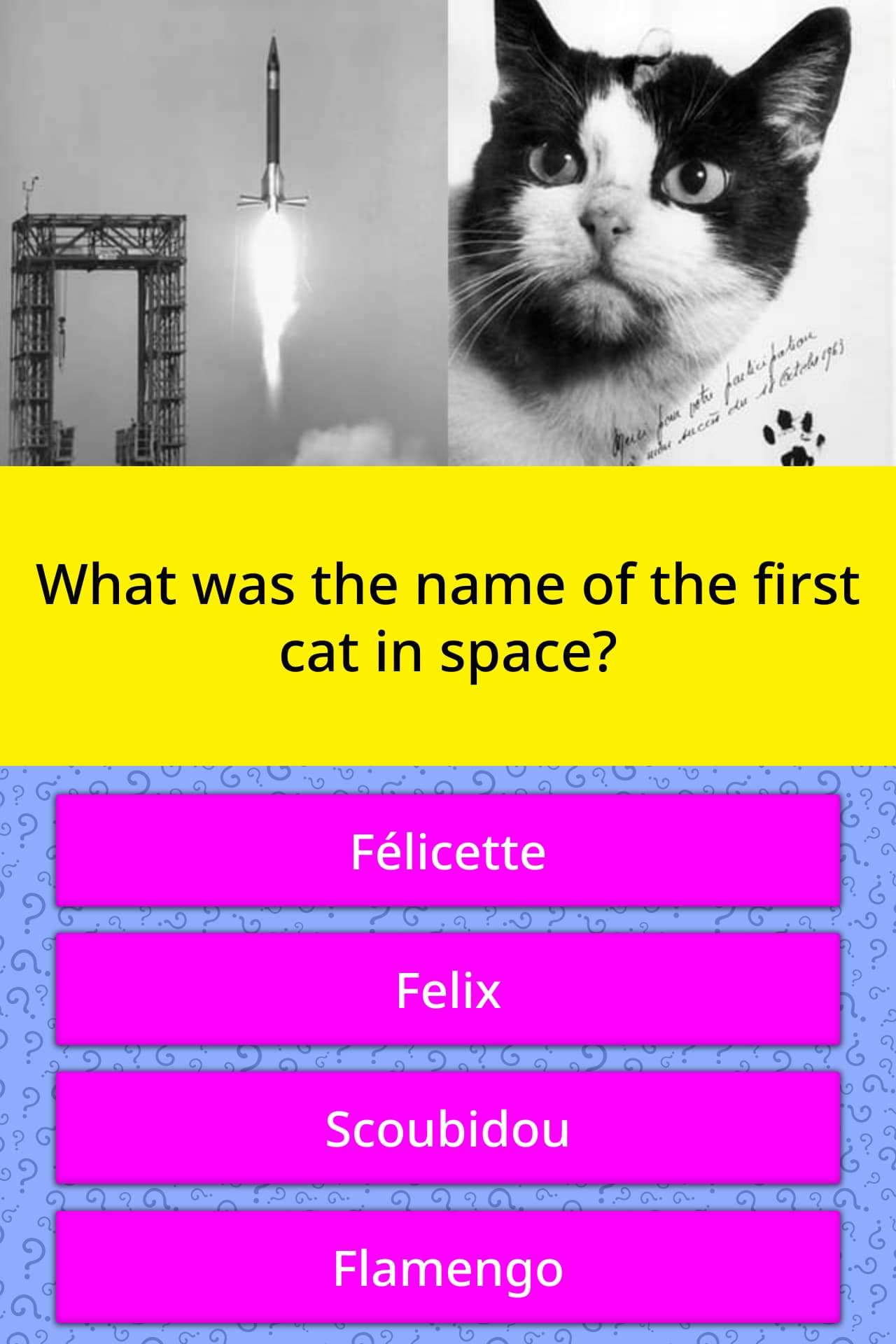 Cool Space Names For Cats