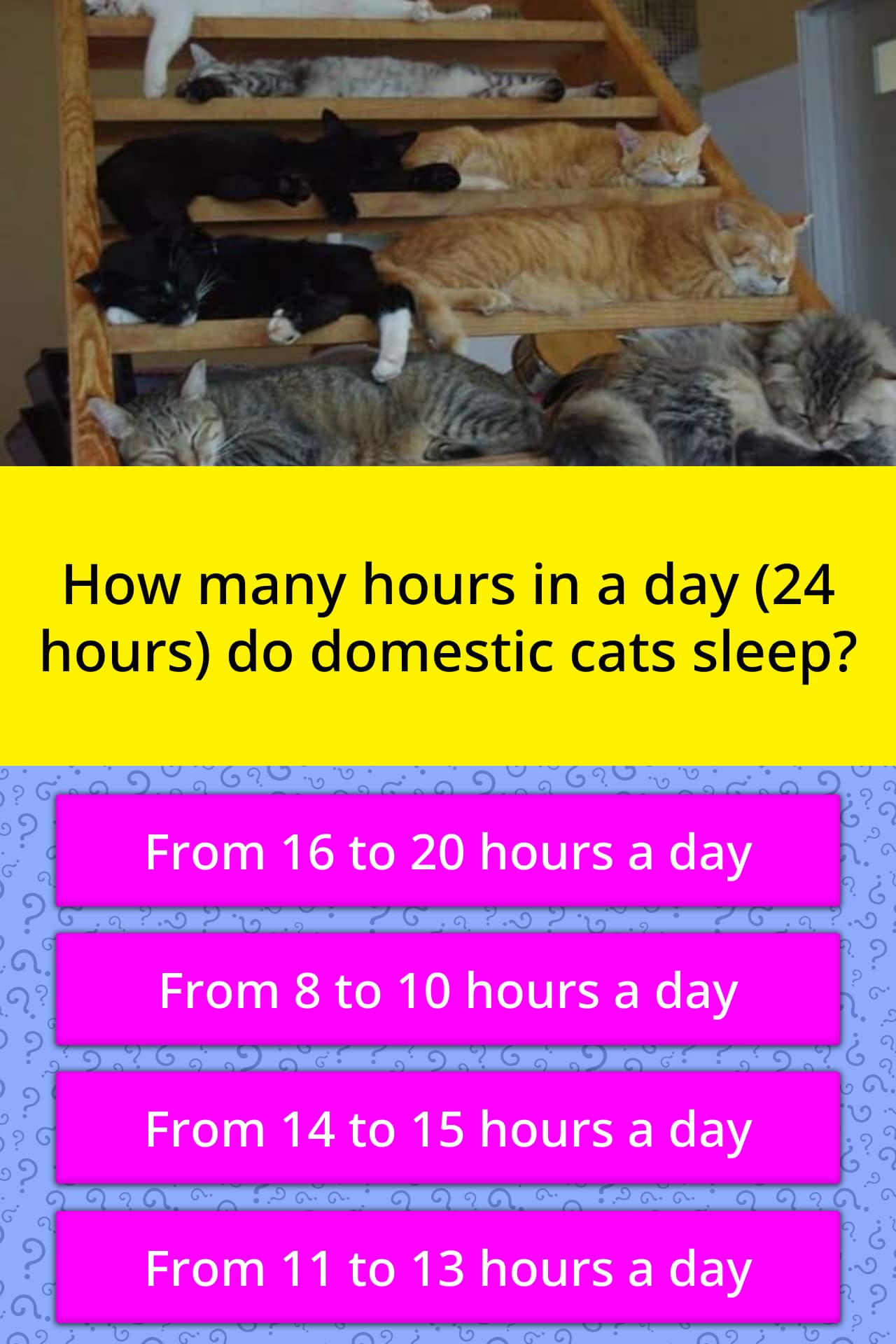How many hours in a day (24 hours)... | Trivia Answers ...
