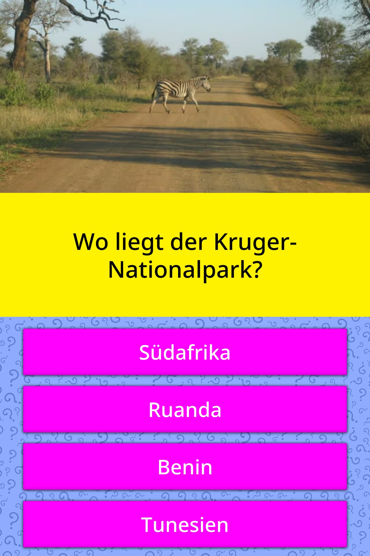 Wo liegt der KrugerNationalpark? QuizAntworten