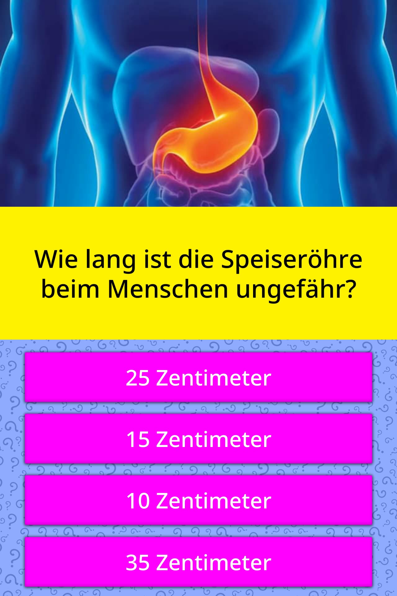 Wie lang ist die Speiseröhre beim... Quizfragen