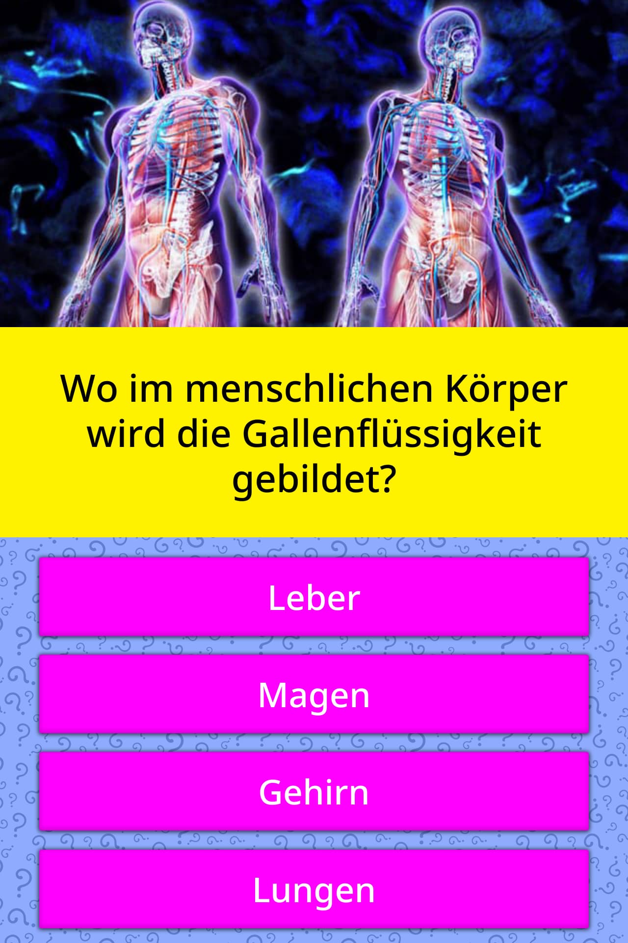 Wo Im Menschlichen Körper Wird Die Quizfragen Quizzclub 