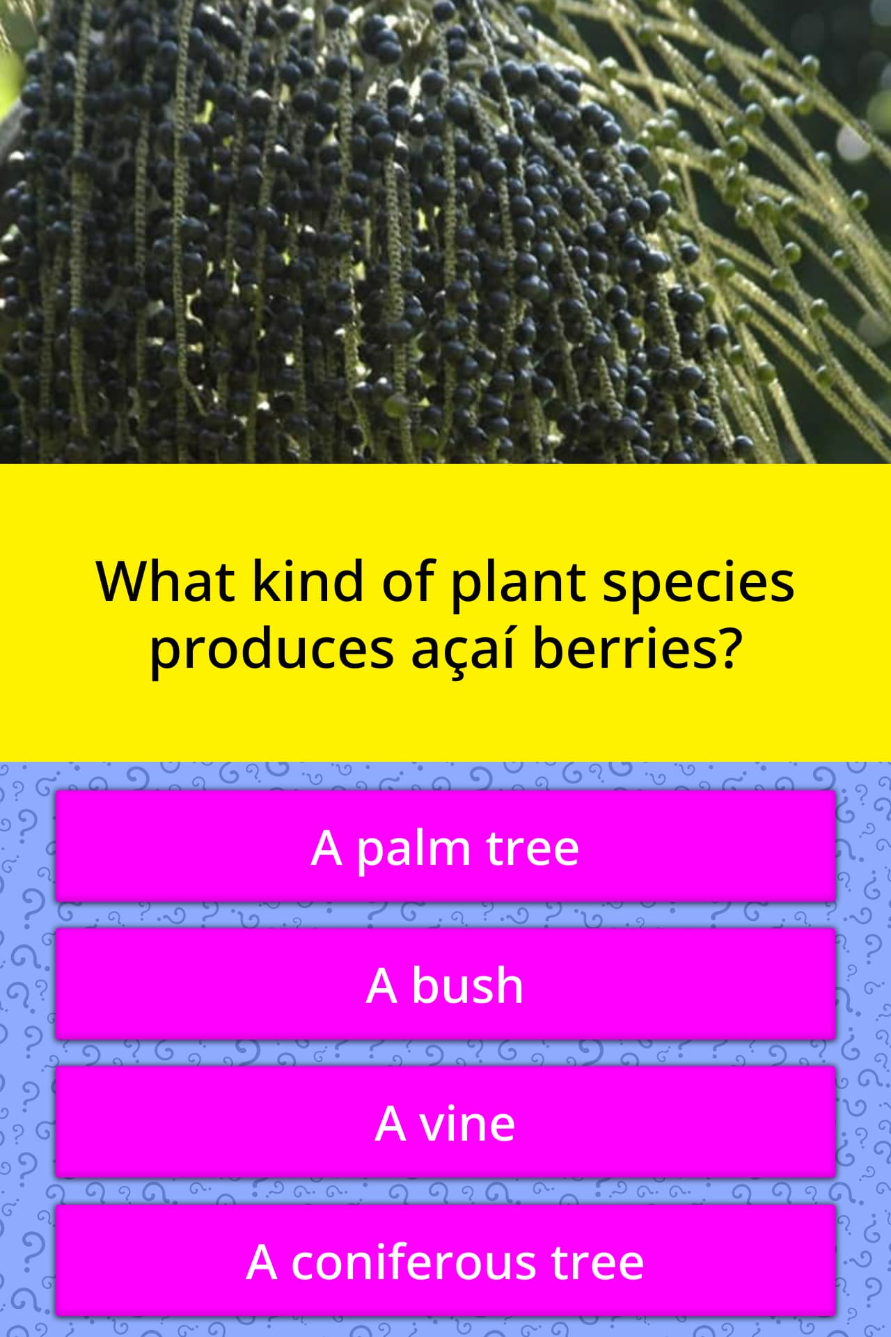 what-kind-of-plant-species-produces-trivia-questions-quizzclub