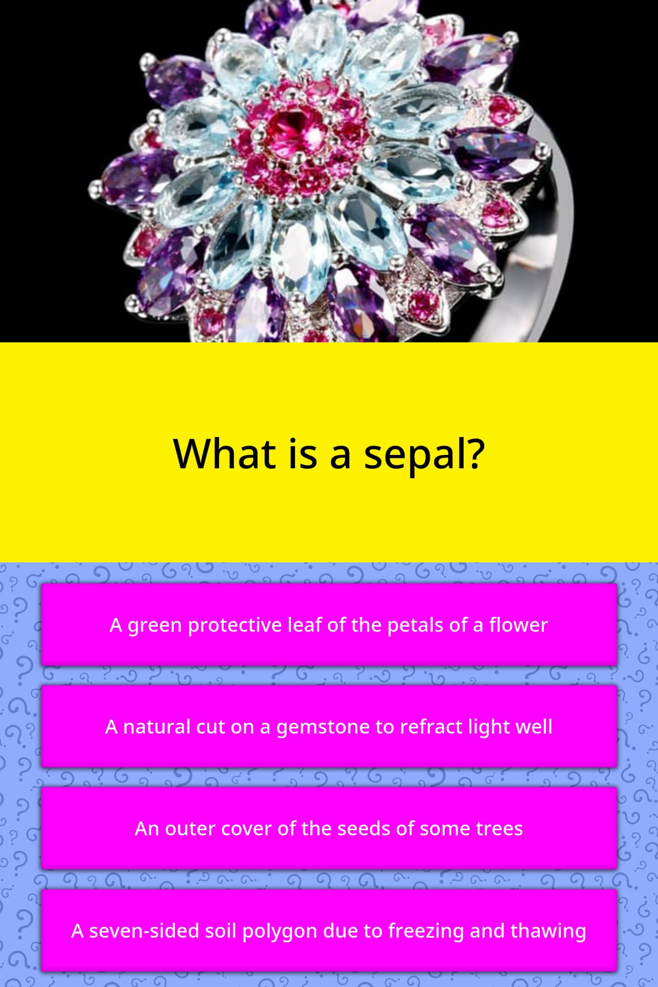 what-is-a-sepal-trivia-questions-quizzclub