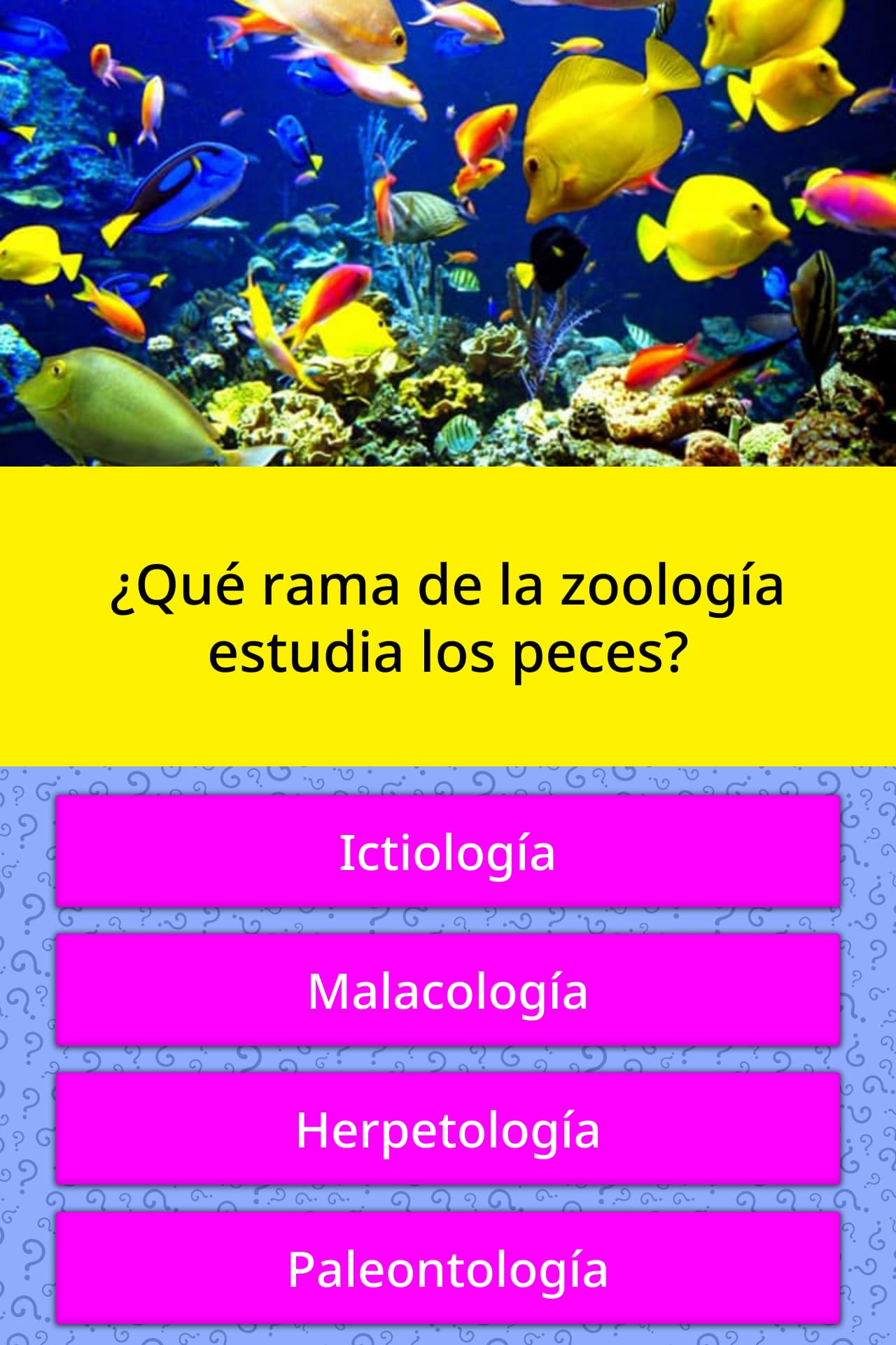 ¿Qué rama de la zoología estudia los... Las Preguntas