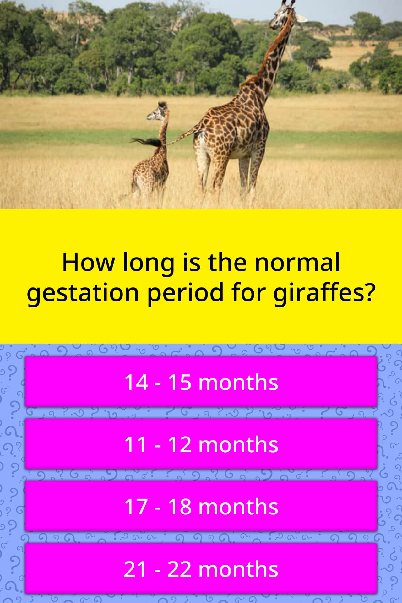 How long is the normal gestation... | Trivia Questions | QuizzClub