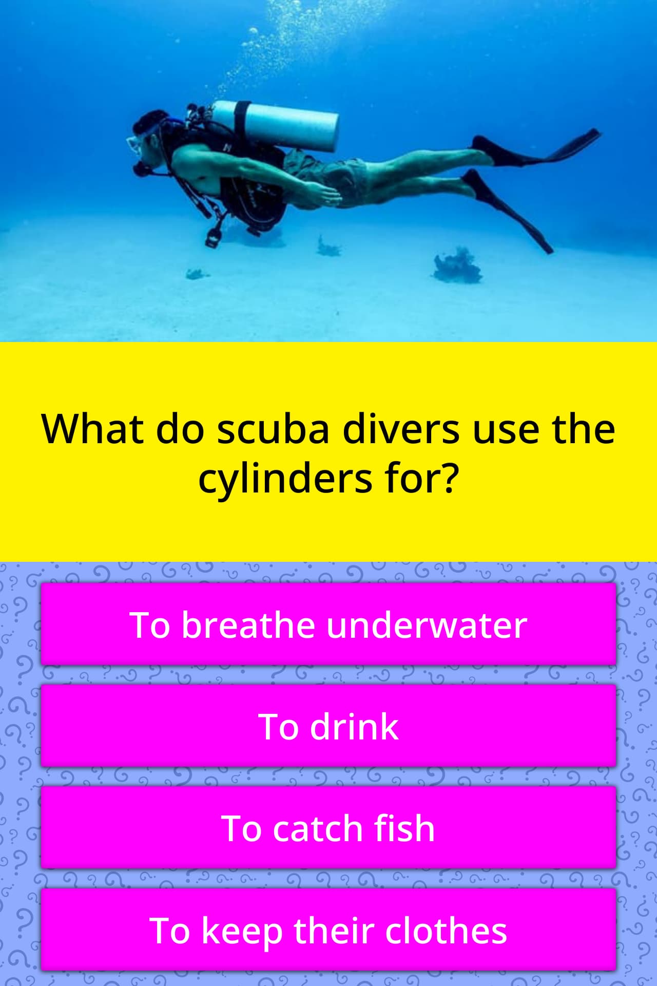 What do scuba divers use the... Trivia Questions
