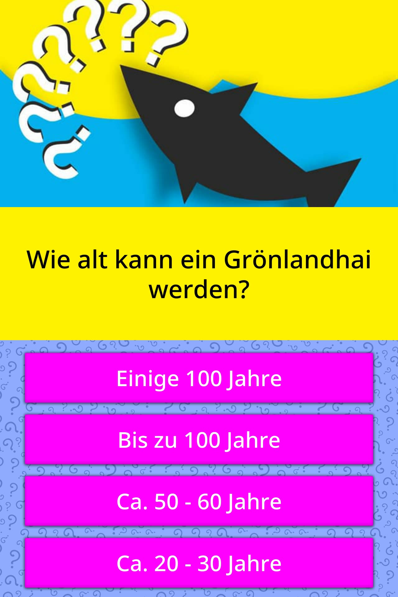 Wie alt kann ein Grönlandhai werden? | Quizfragen | QuizzClub