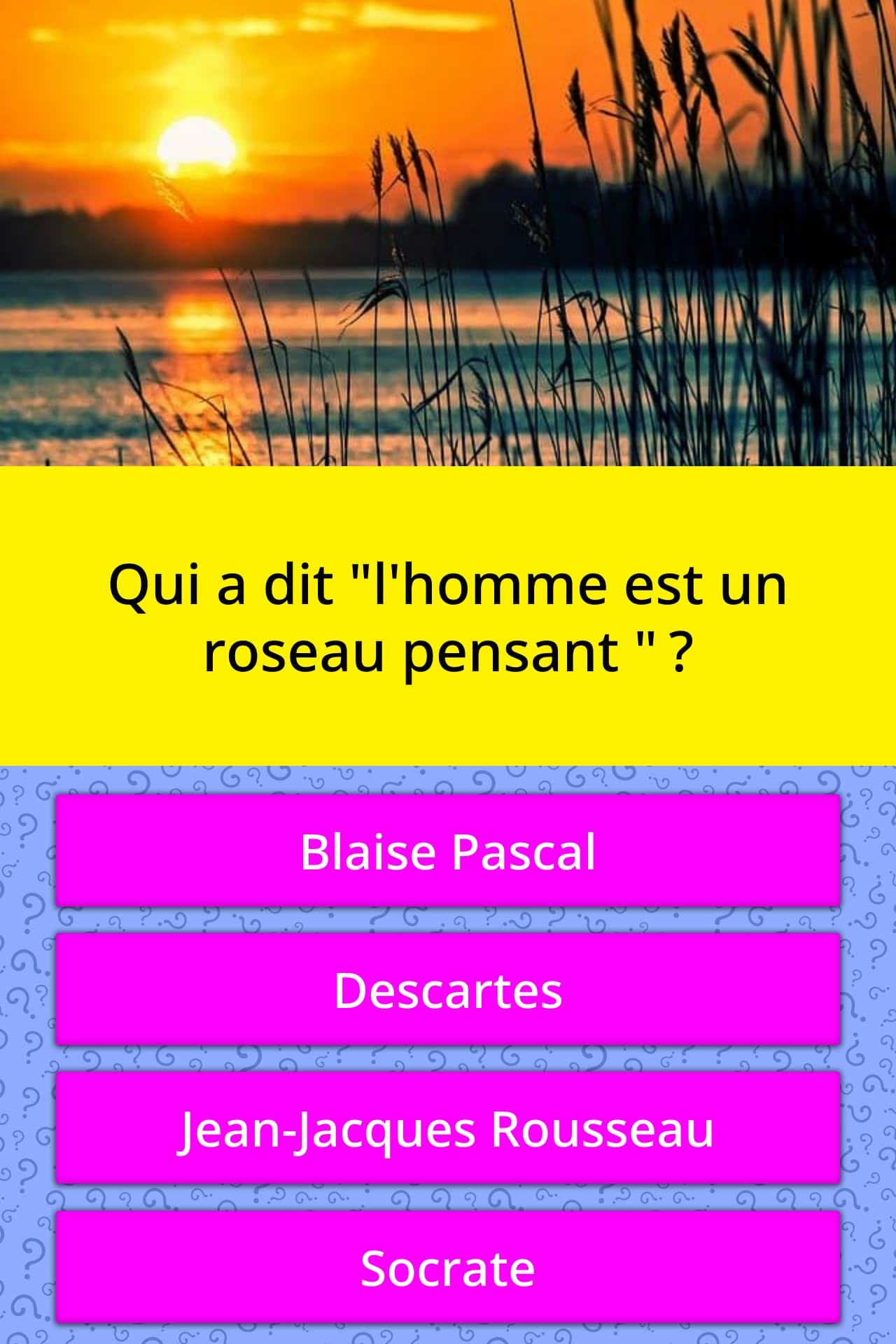 L'homme Est Un Roseau Pensant Explication