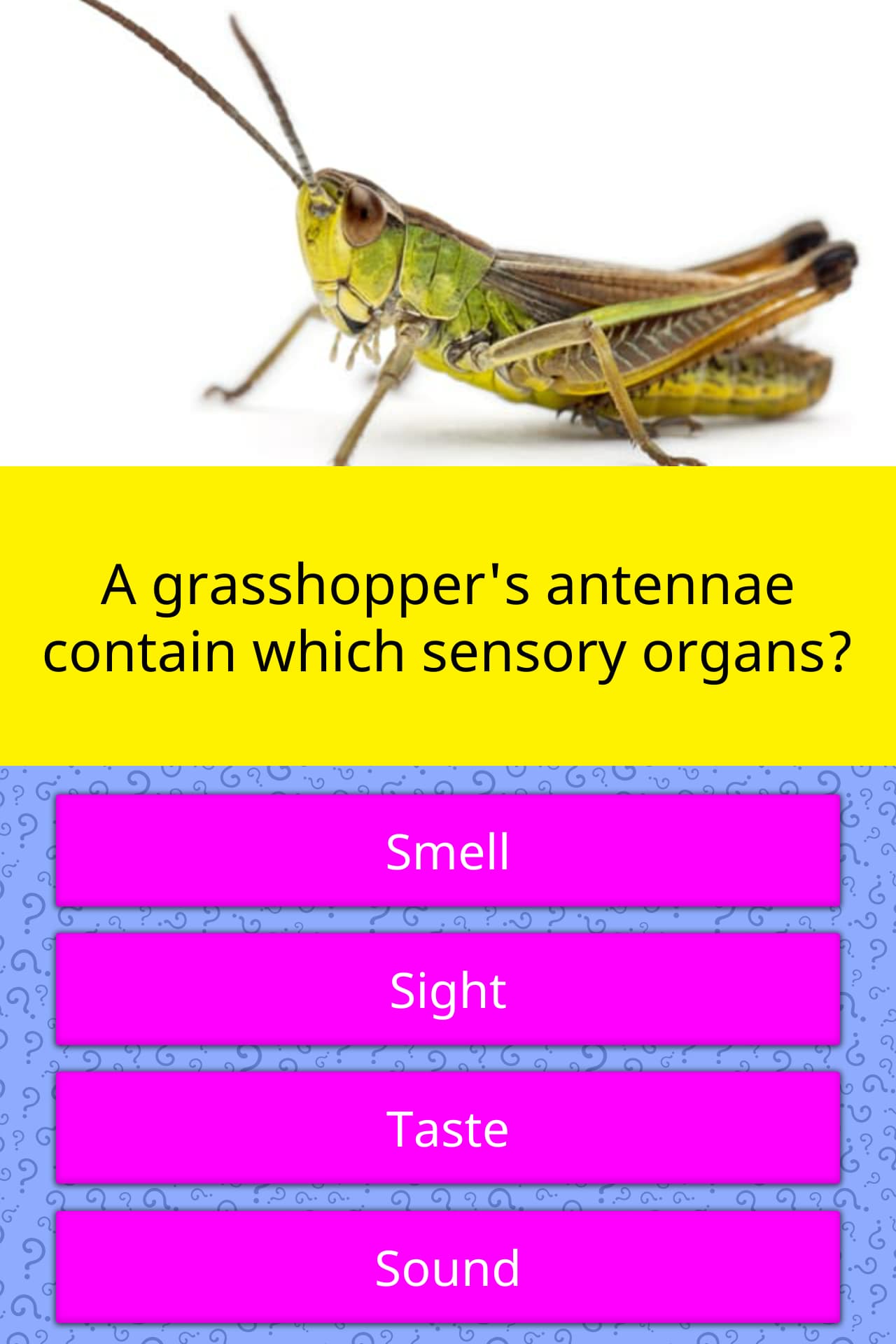 what-is-a-gps-antenna