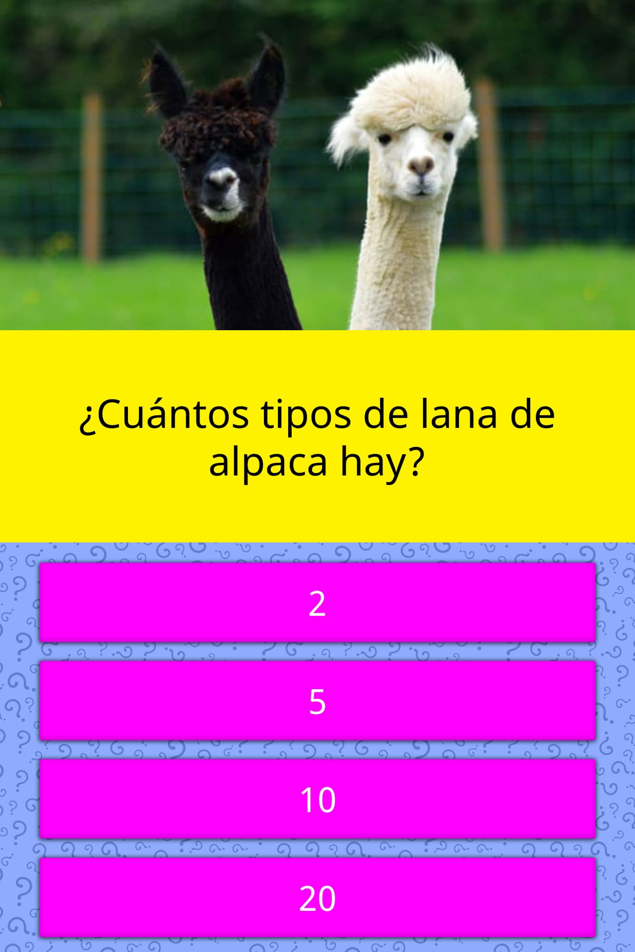  Cu ntos Tipos De Lana De Alpaca Hay La Respuesta De Trivia